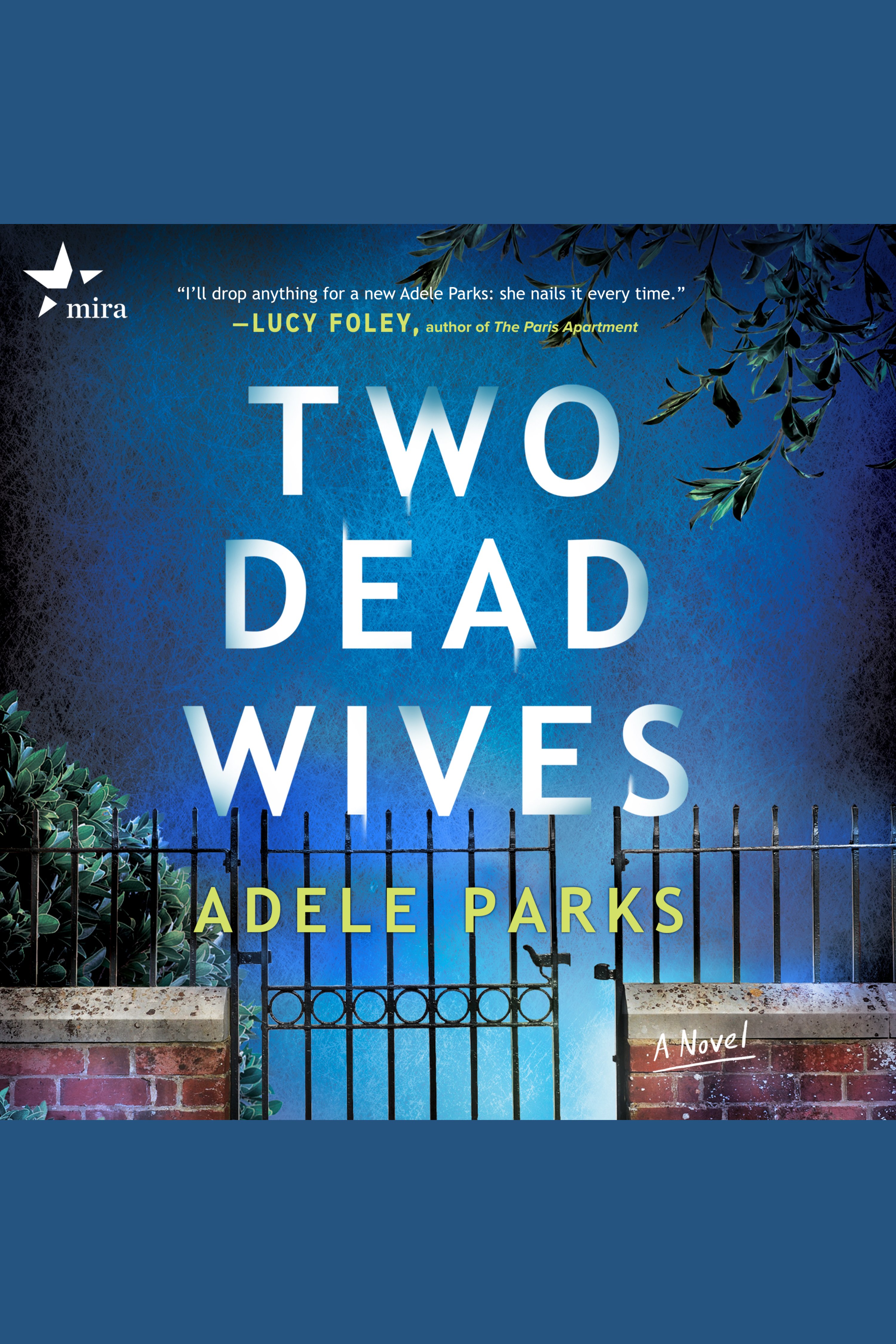 Image de couverture de Two Dead Wives [electronic resource] :