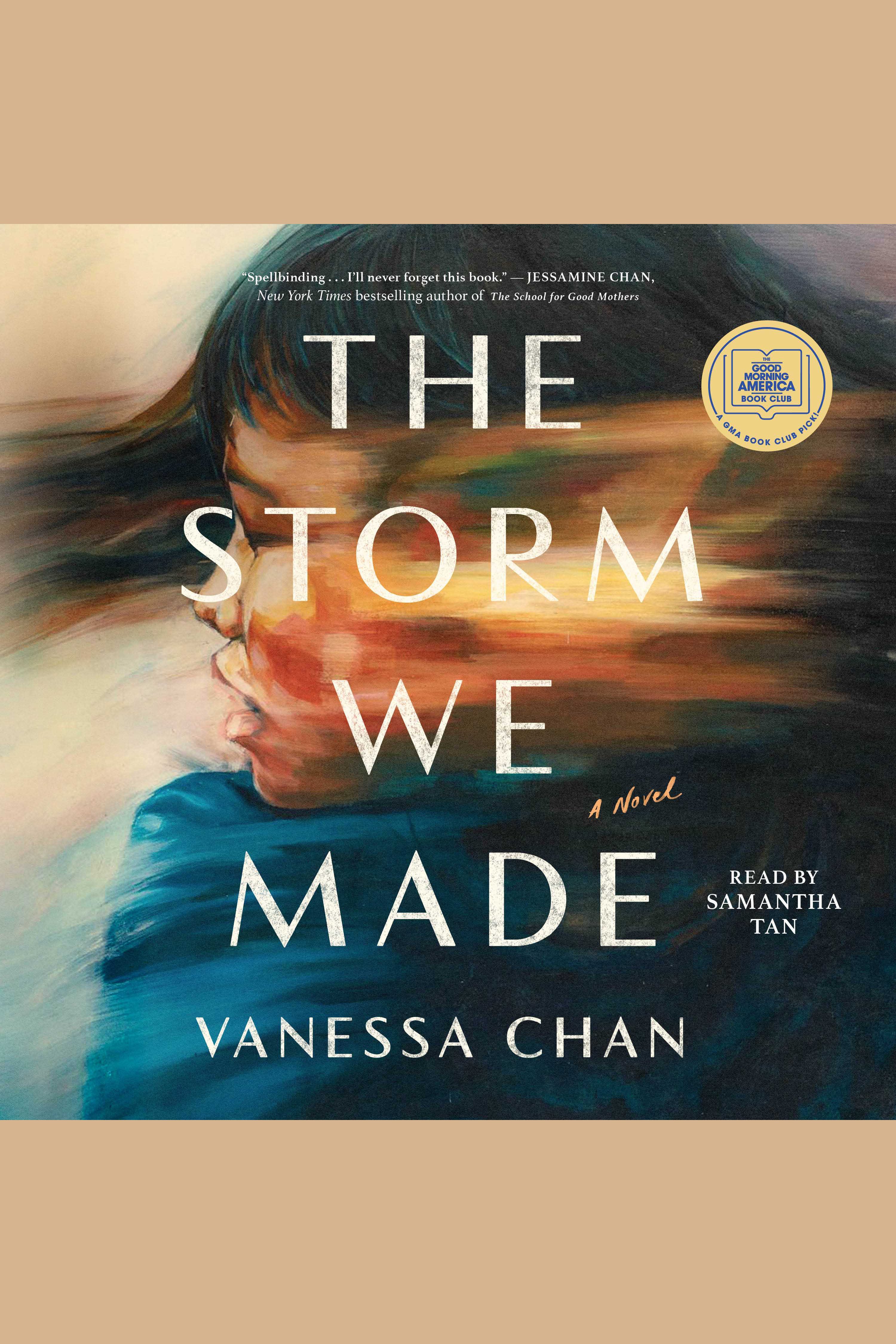 Cover image for The Storm We Made [electronic resource] : A Novel