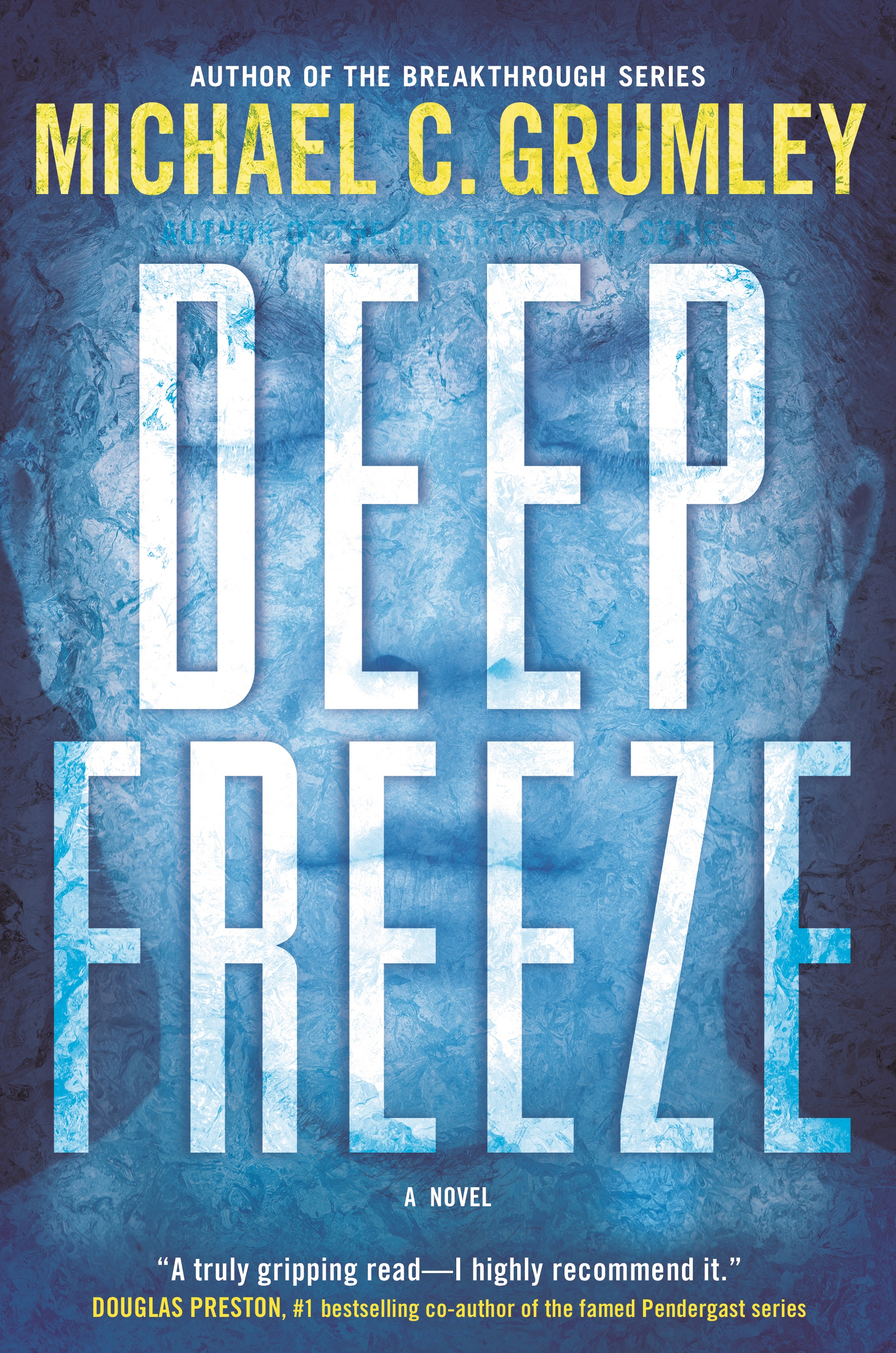 Cover image for Deep Freeze [electronic resource] : A Novel