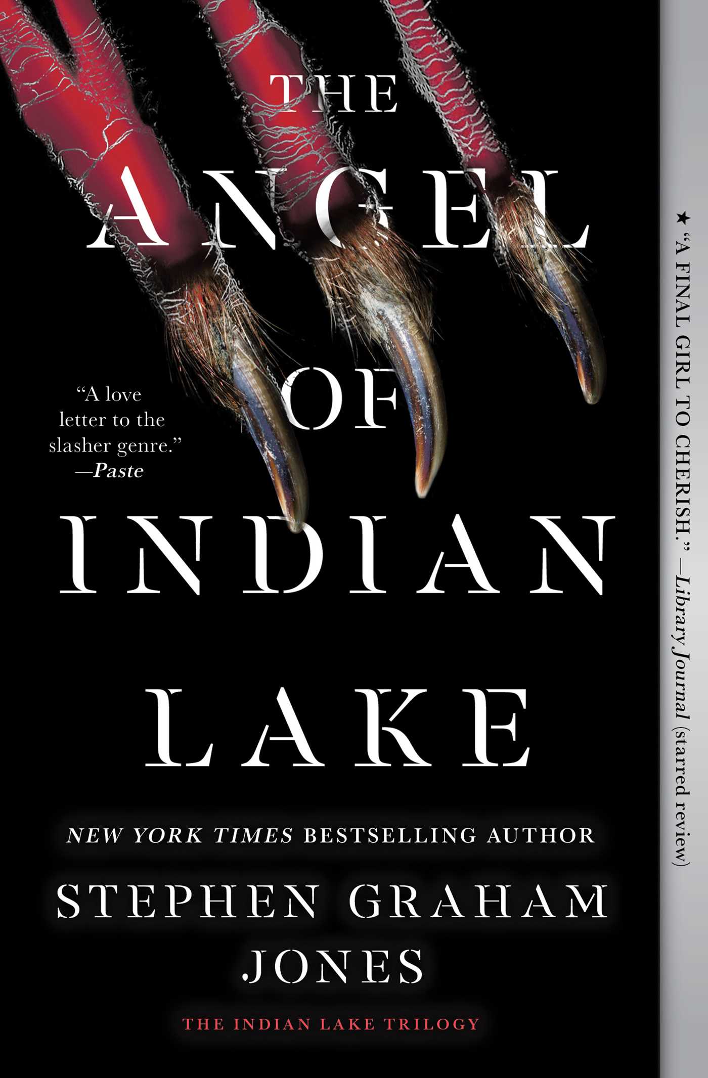 Cover image for The Angel of Indian Lake [electronic resource] :