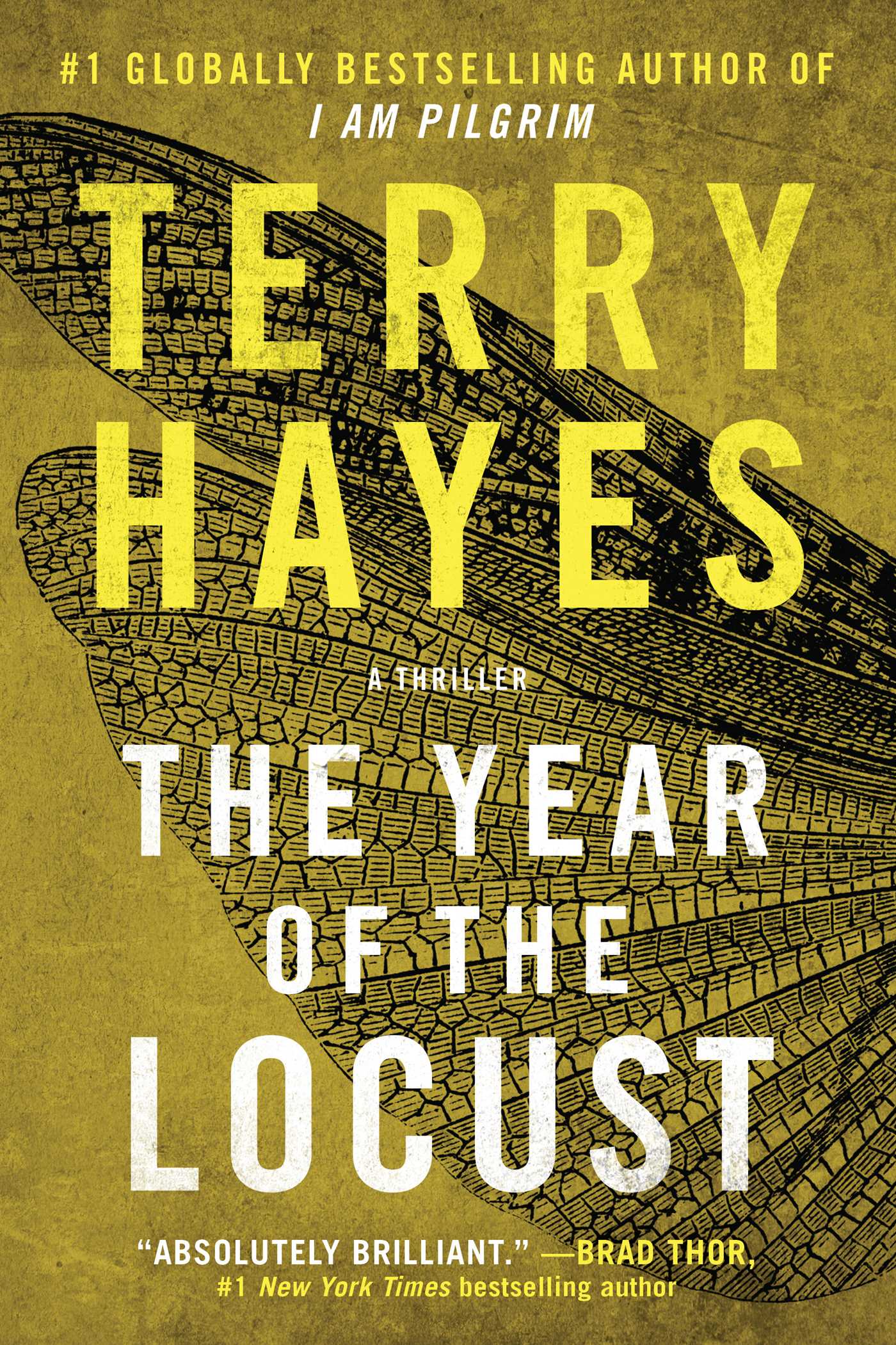 Cover image for The Year of the Locust [electronic resource] : A Thriller