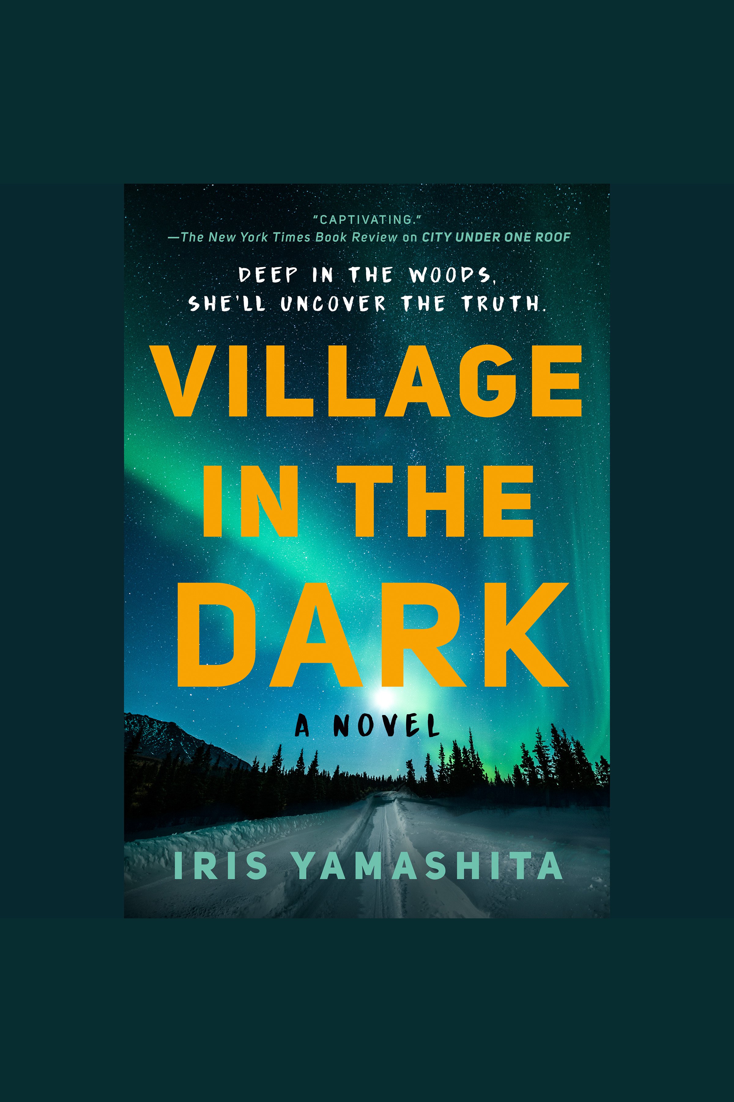 Cover image for Village in the Dark [electronic resource] :