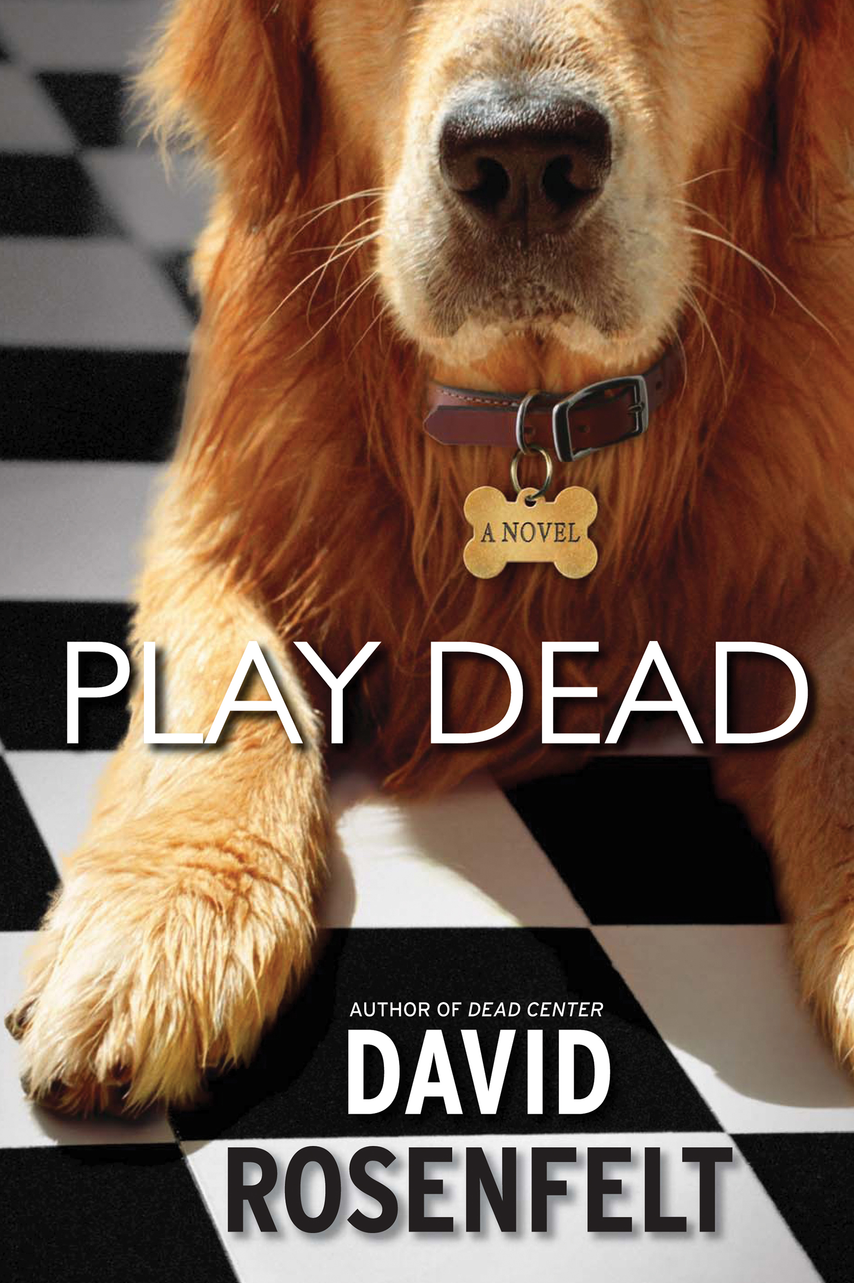 Imagen de portada para Play Dead [electronic resource] :