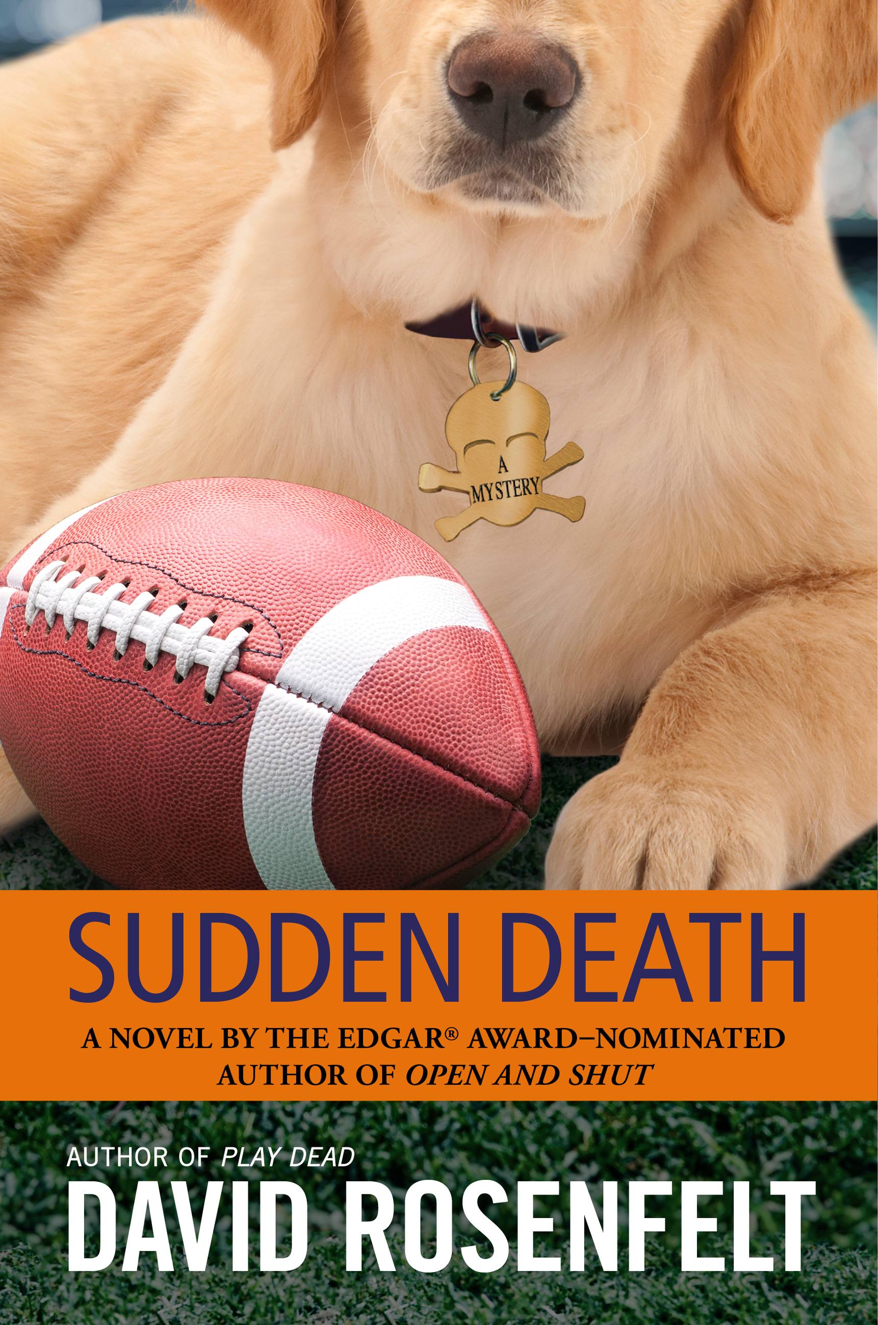 Cover image for Sudden Death [electronic resource] :