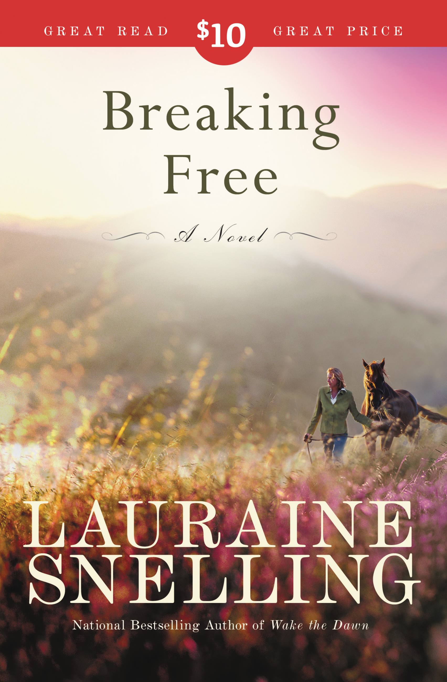 Umschlagbild für Breaking Free [electronic resource] : A Novel