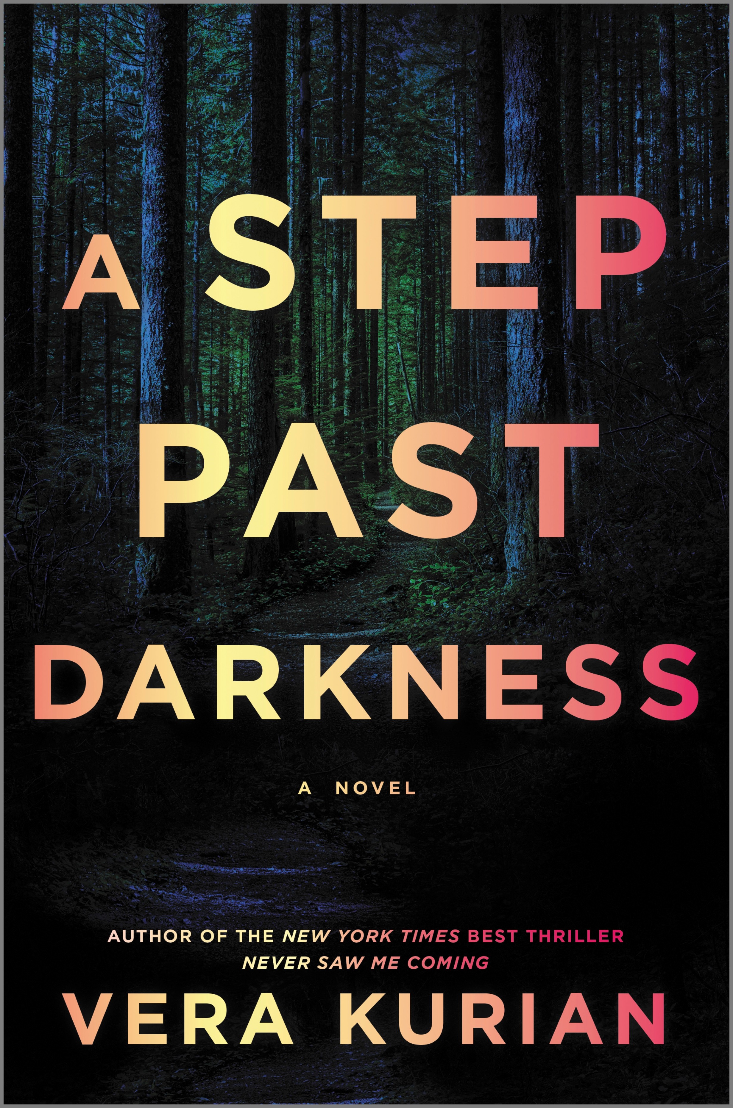 Umschlagbild für A Step Past Darkness [electronic resource] : A Novel