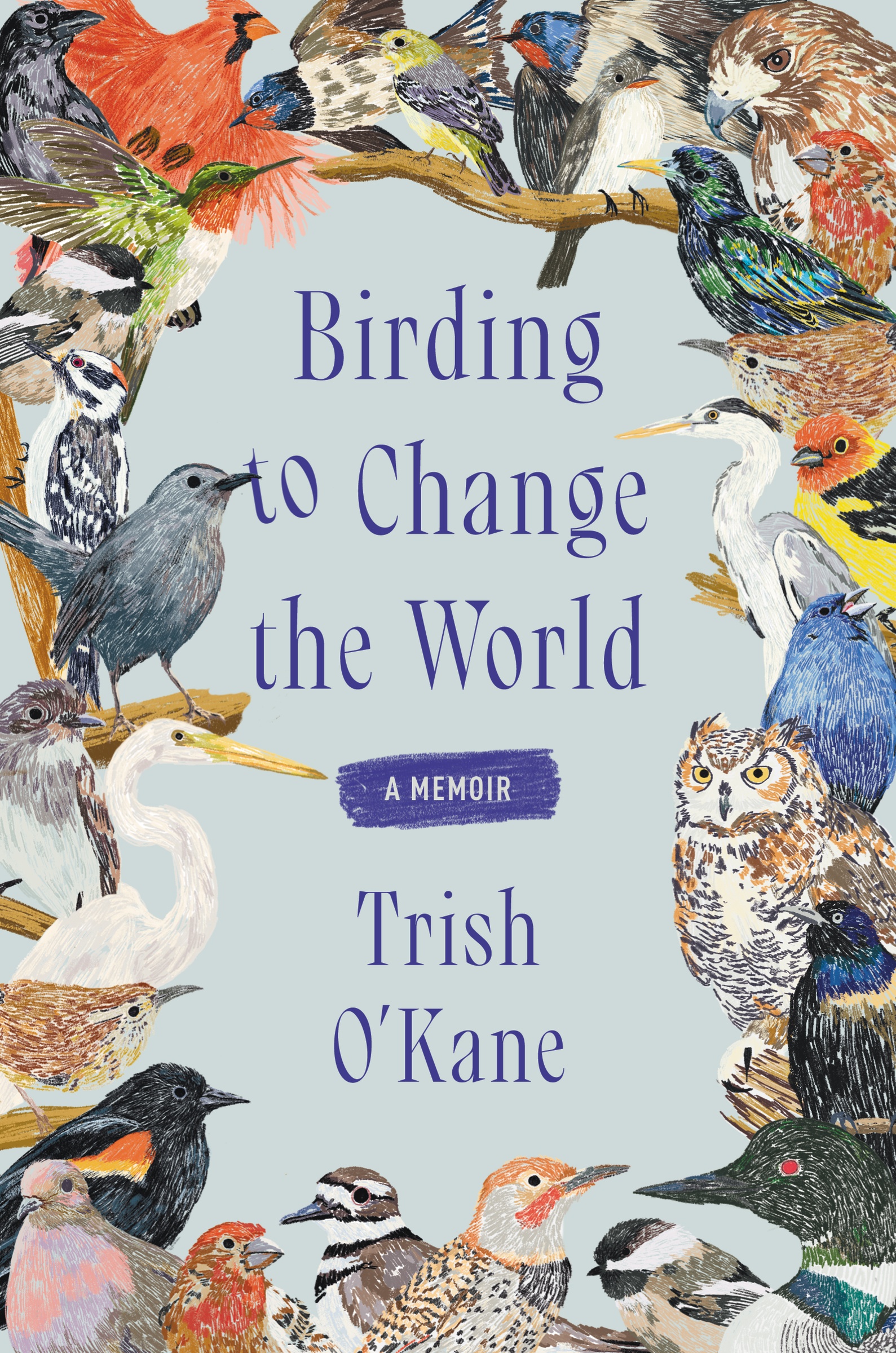 Cover image for Birding to Change the World [electronic resource] : A Memoir
