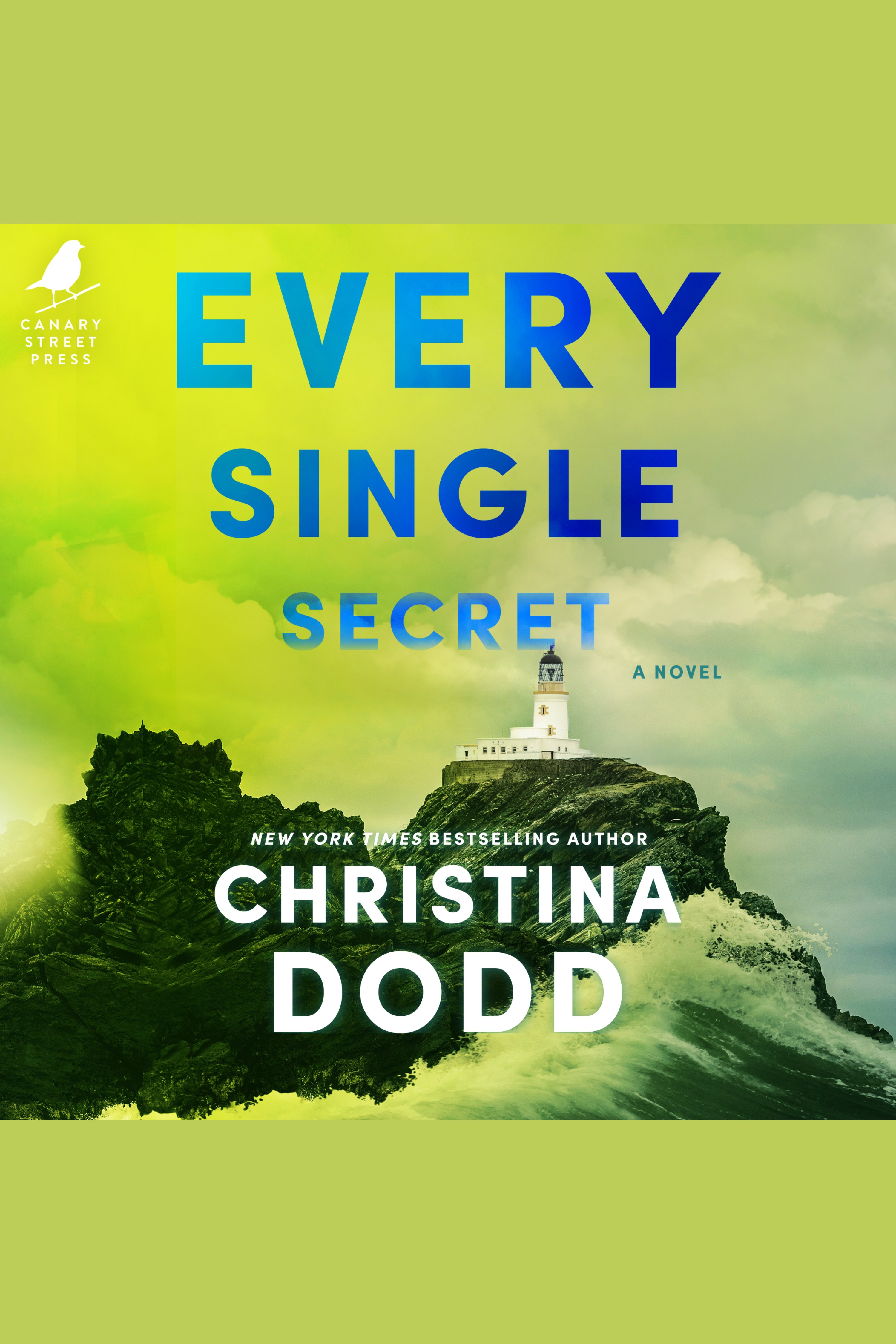 Imagen de portada para Every Single Secret [electronic resource] :