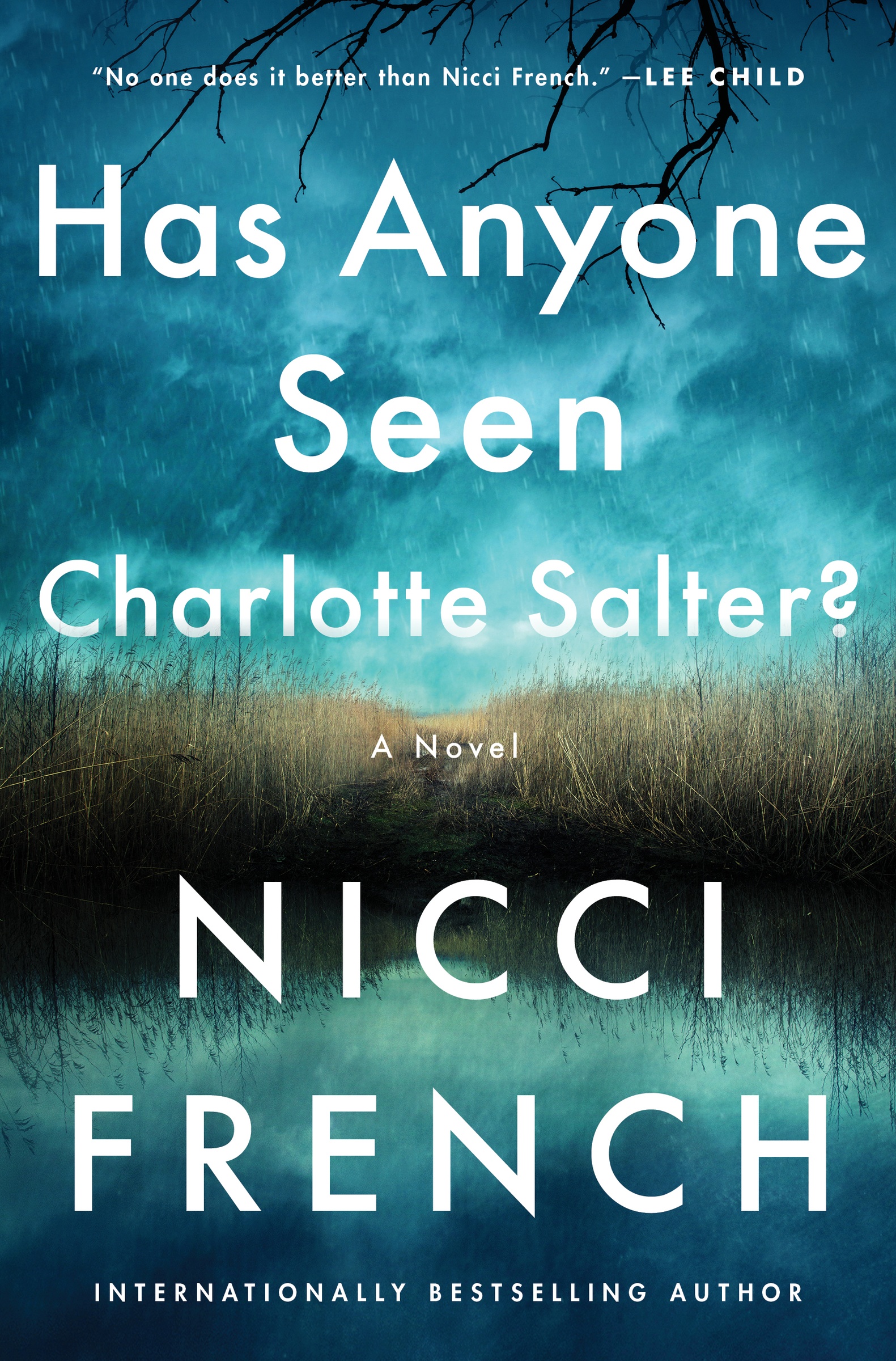 Umschlagbild für Has Anyone Seen Charlotte Salter? [electronic resource] : A Novel