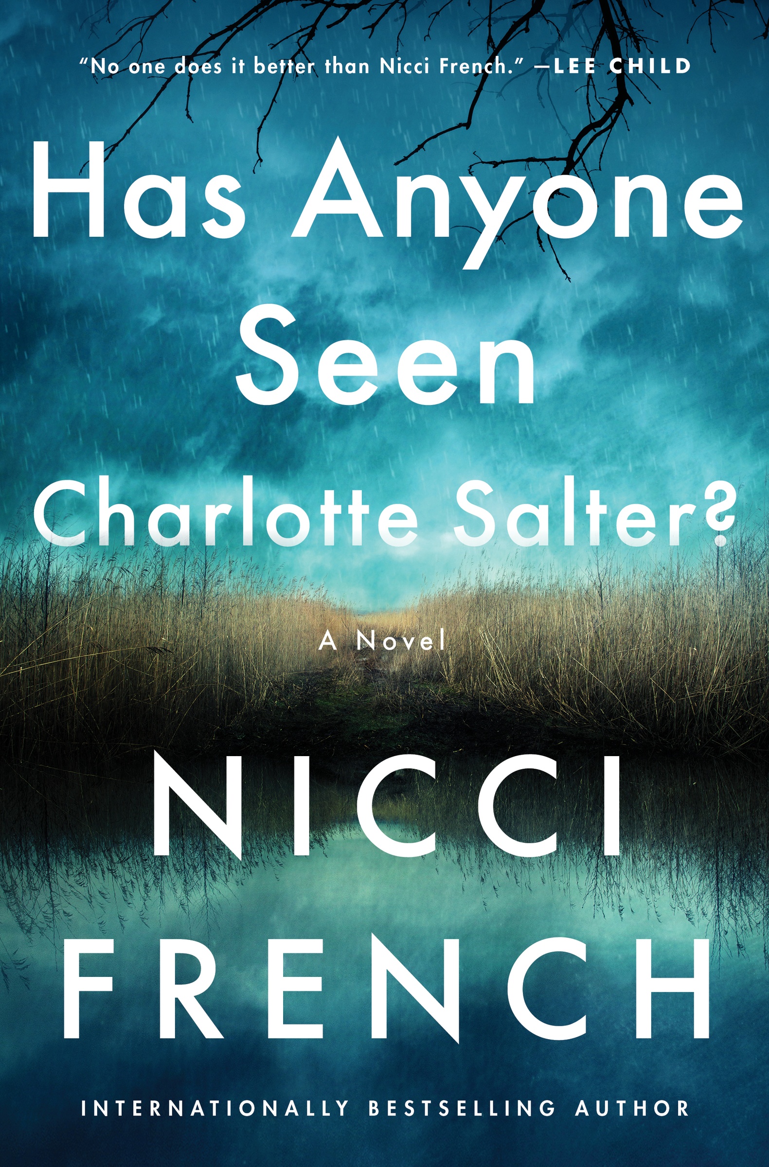 Cover image for Has Anyone Seen Charlotte Salter? [electronic resource] : A Novel