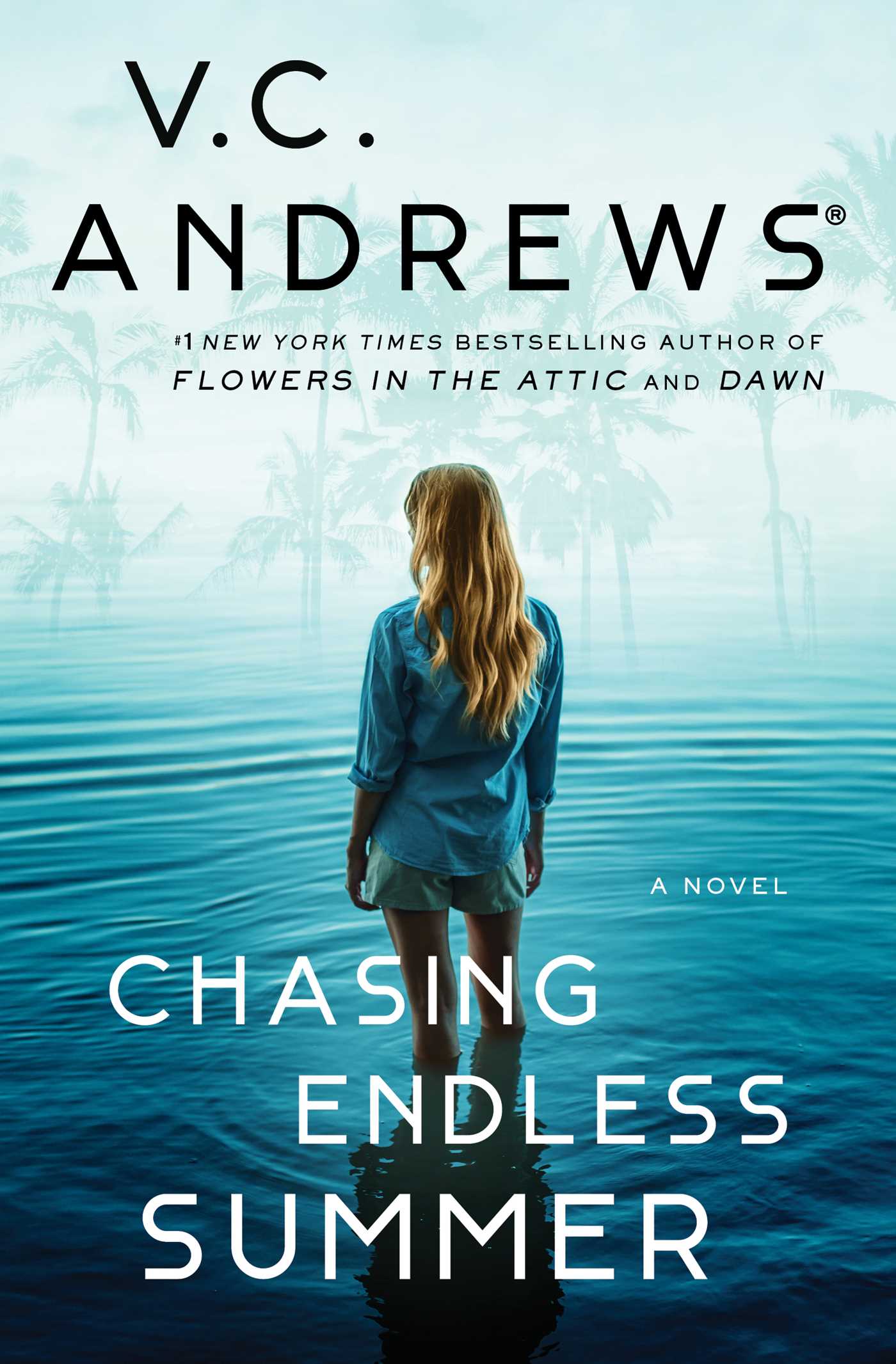 Cover image for Chasing Endless Summer [electronic resource] :