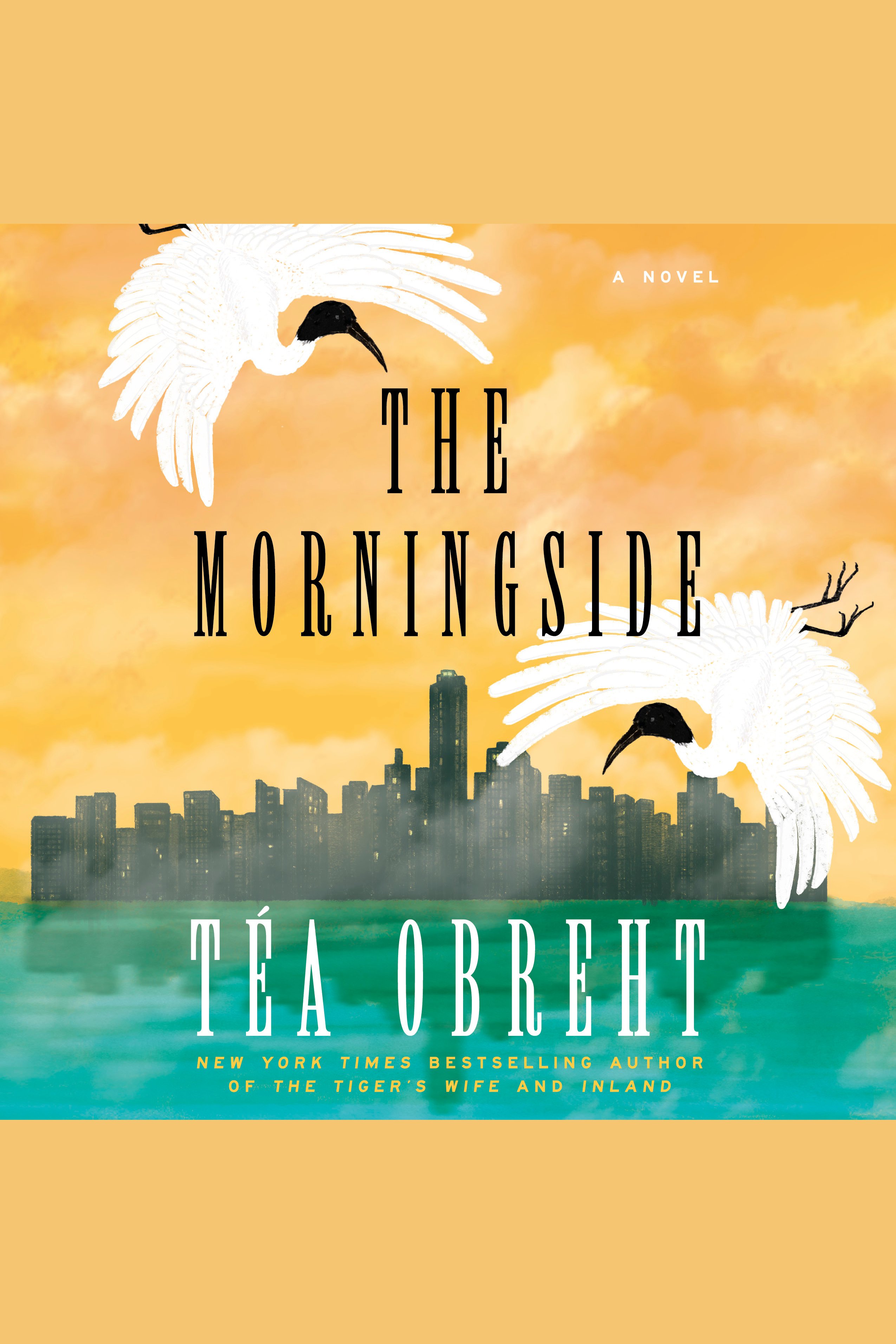 Cover image for The Morningside [electronic resource] : A Novel