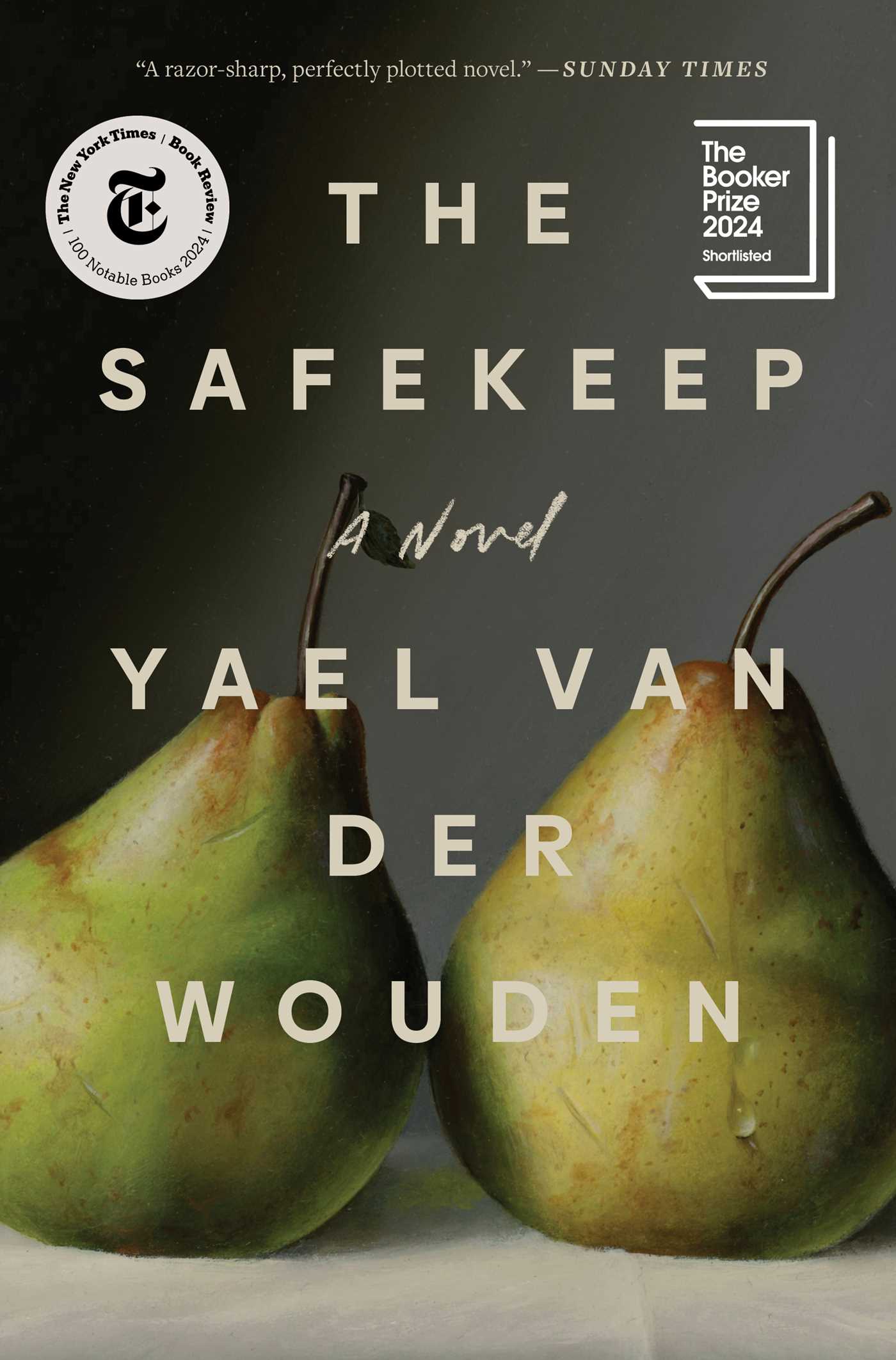 Cover image for The Safekeep [electronic resource] :