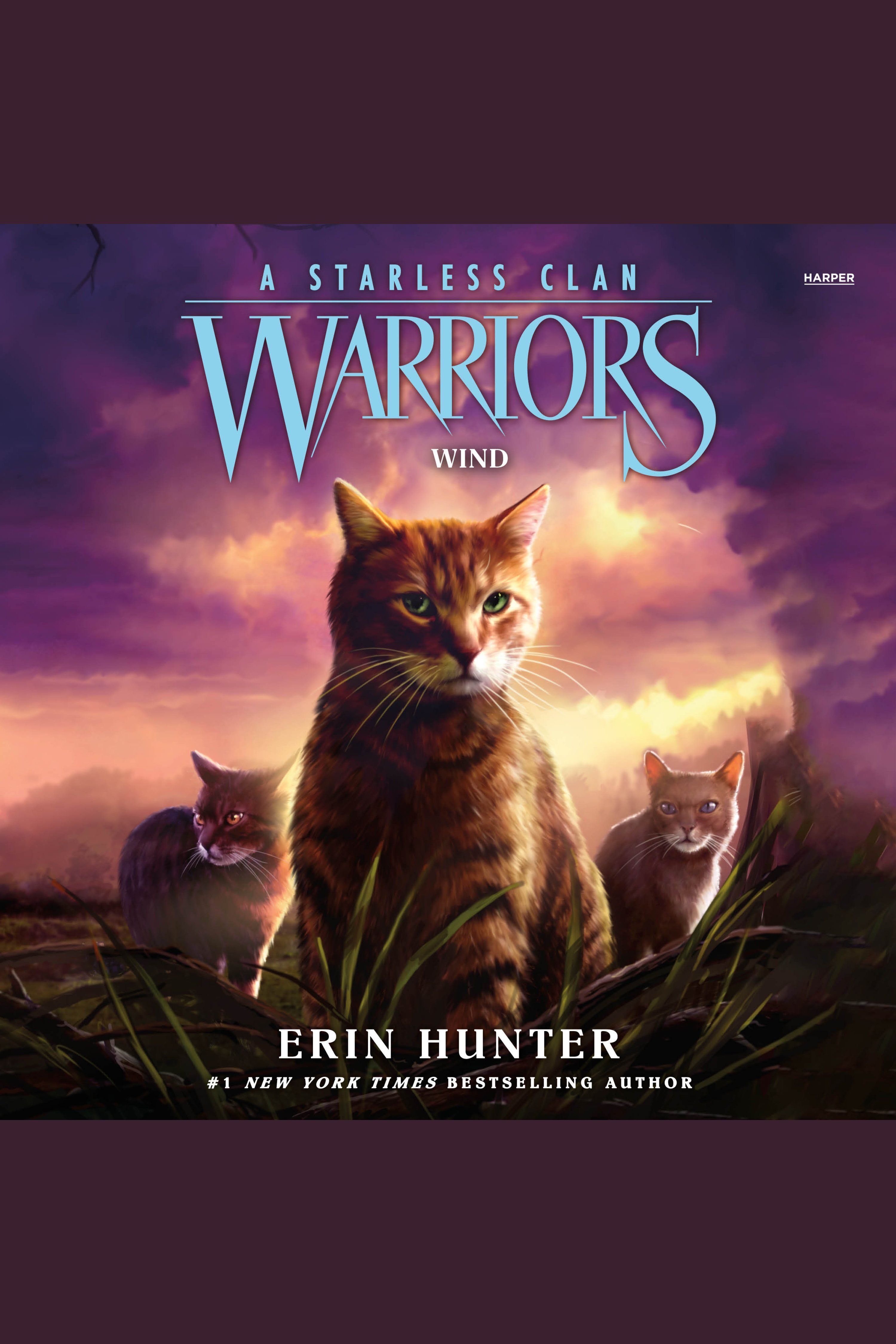 Umschlagbild für Warriors: A Starless Clan #5: Wind [electronic resource] :