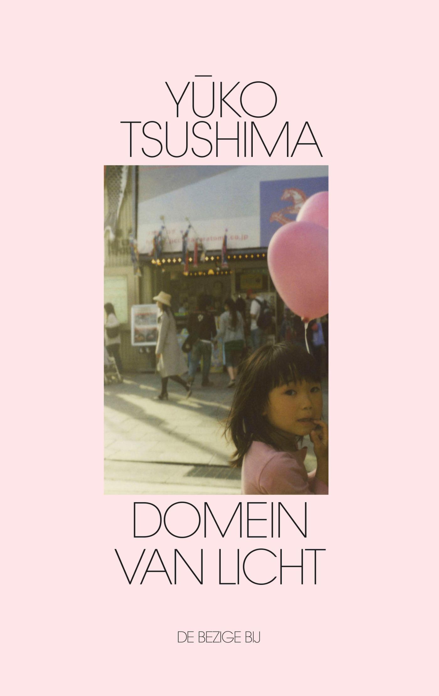 Domein van licht : roman