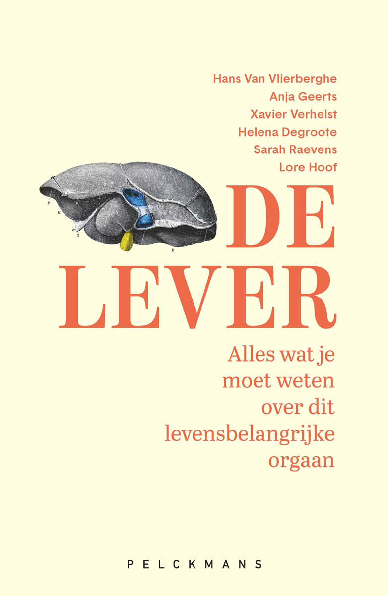 De lever : alles wat je moet weten over dit levensbelangrijke orgaan