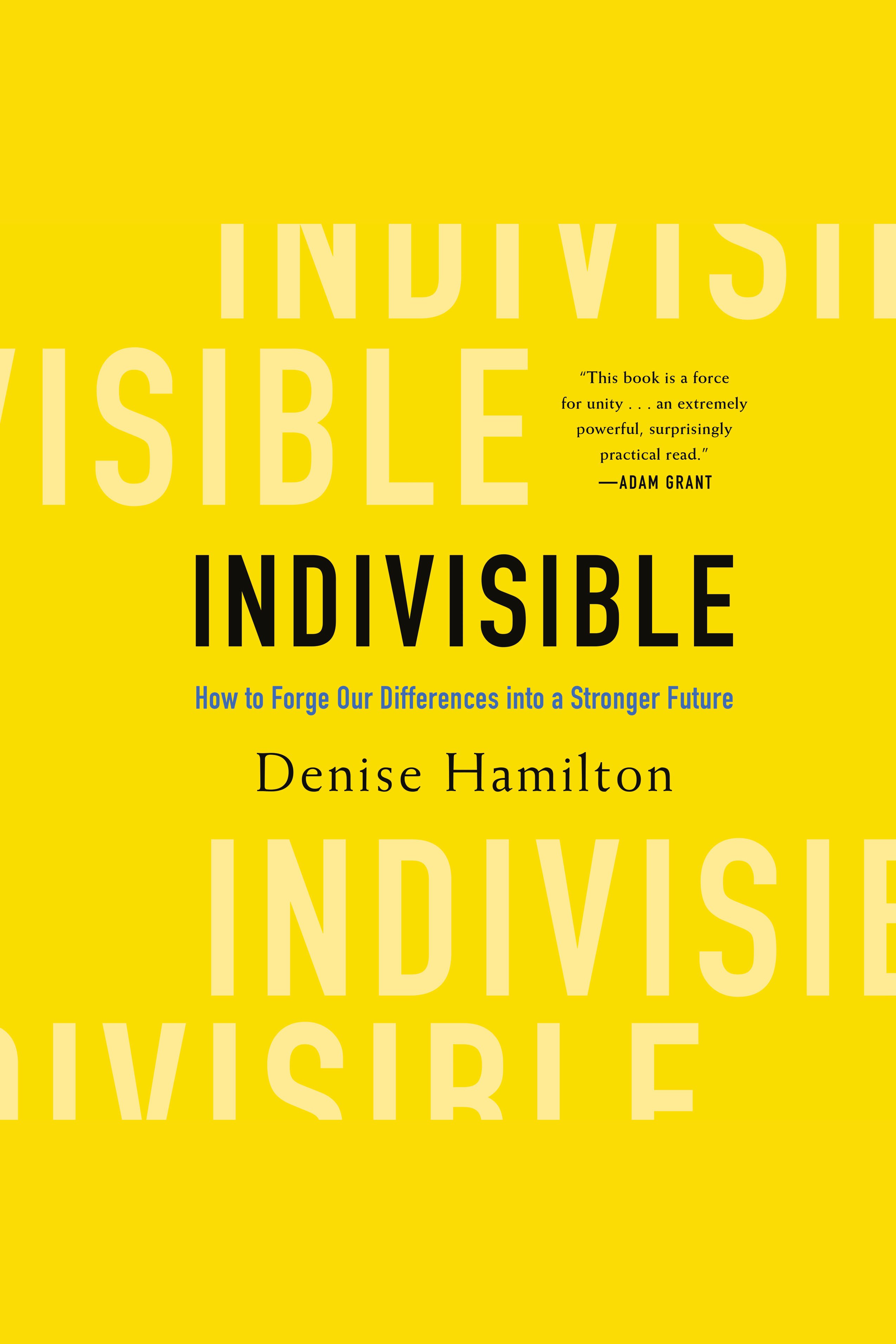 Indivisible How to Forge Our Differences into a Stronger Future cover image
