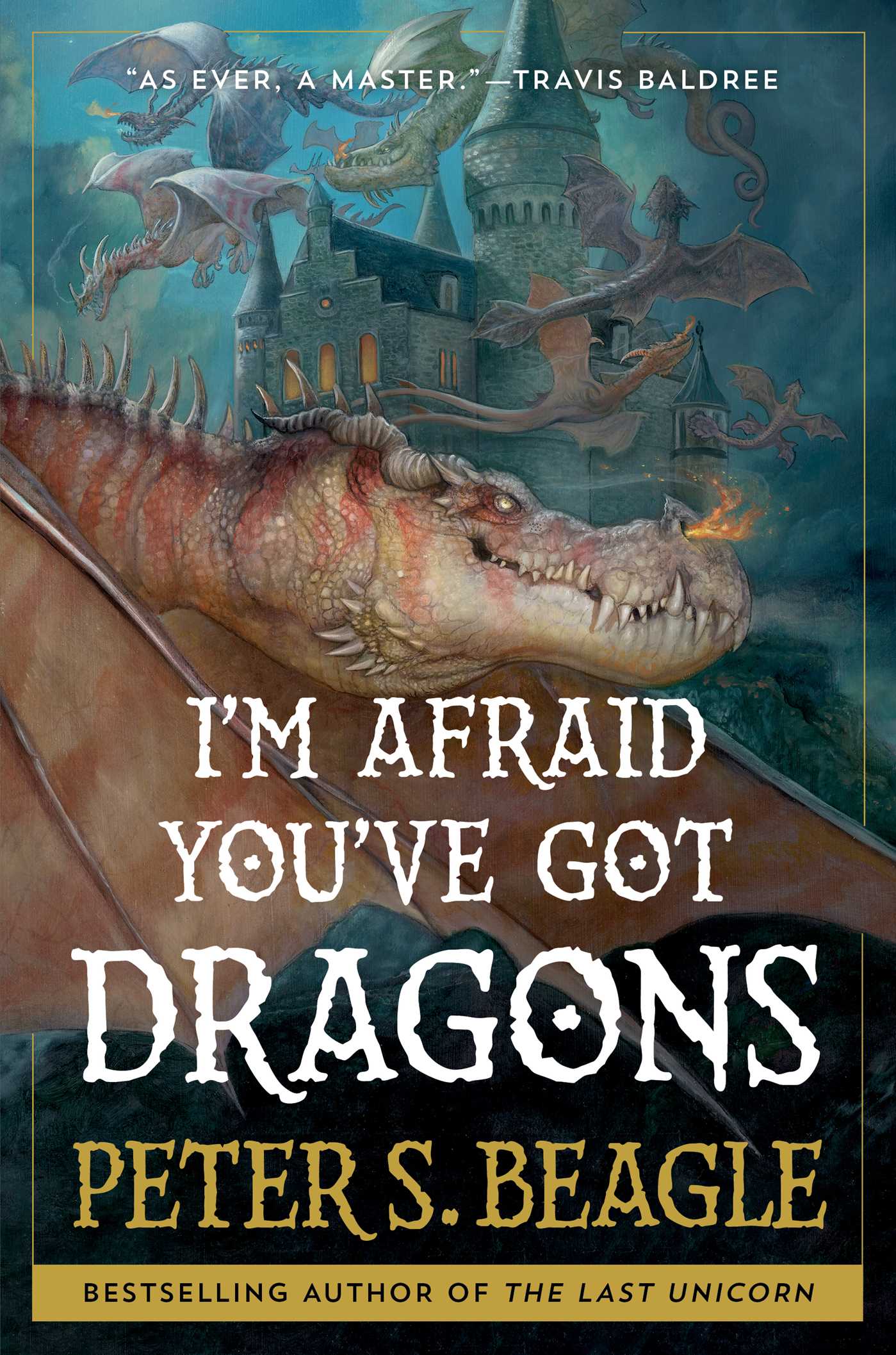 I'm Afraid You've Got Dragons cover image