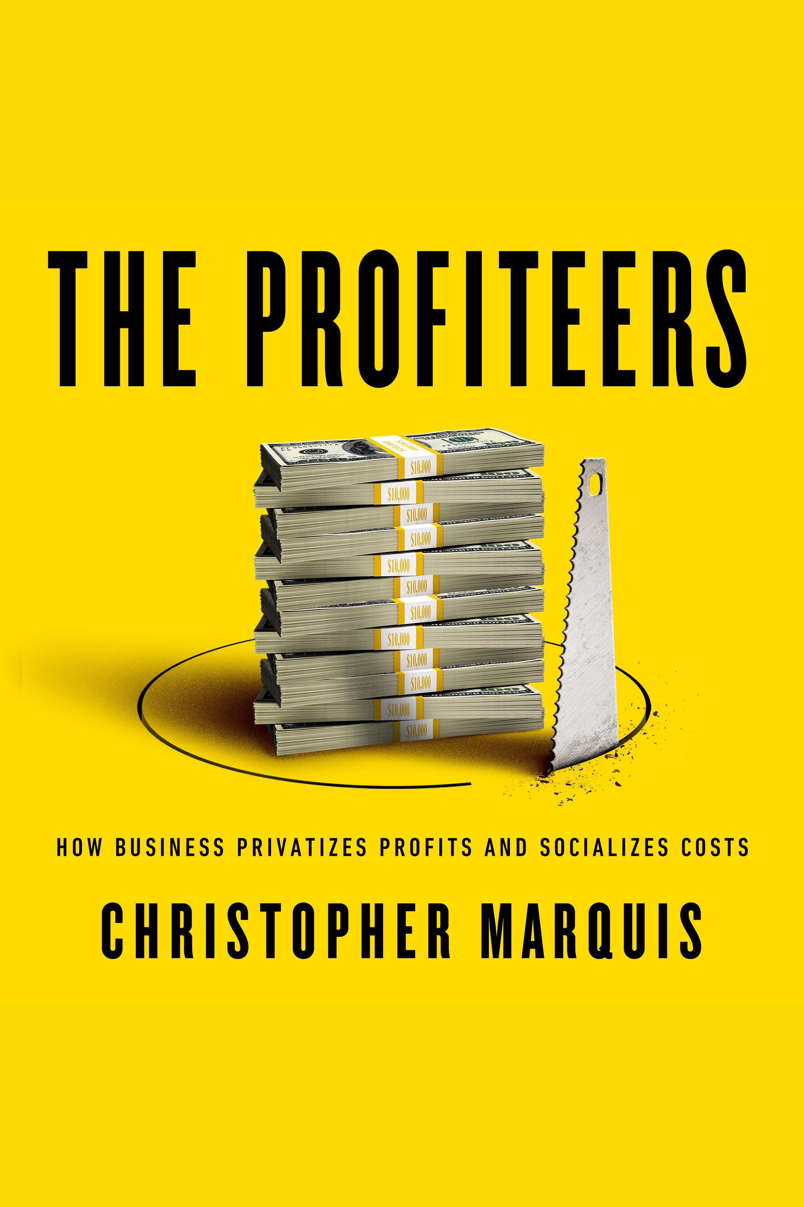 The Profiteers How Business Privatizes Profits and Socializes Costs cover image