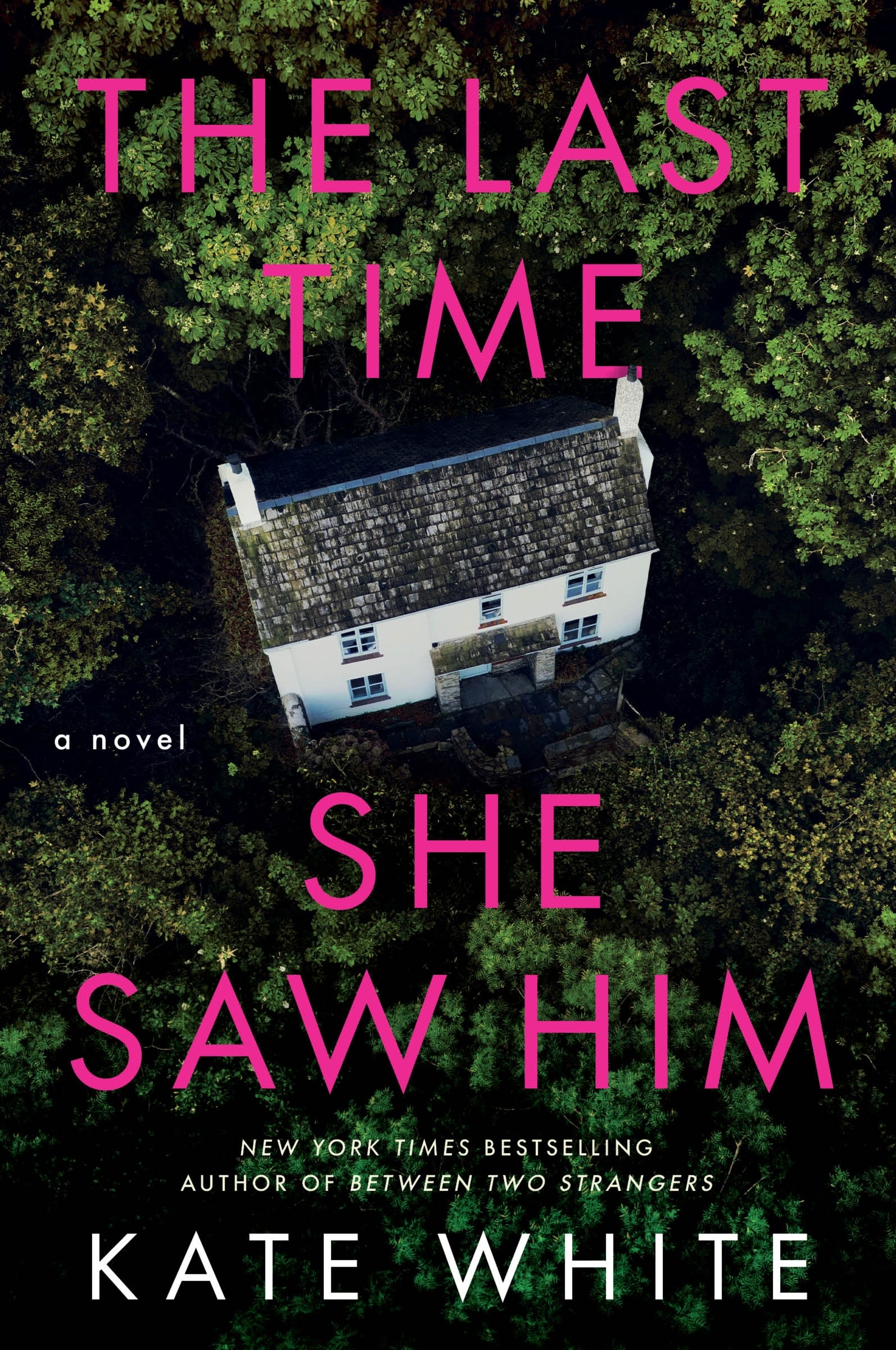 Image de couverture de The Last Time She Saw Him [electronic resource] : A Novel