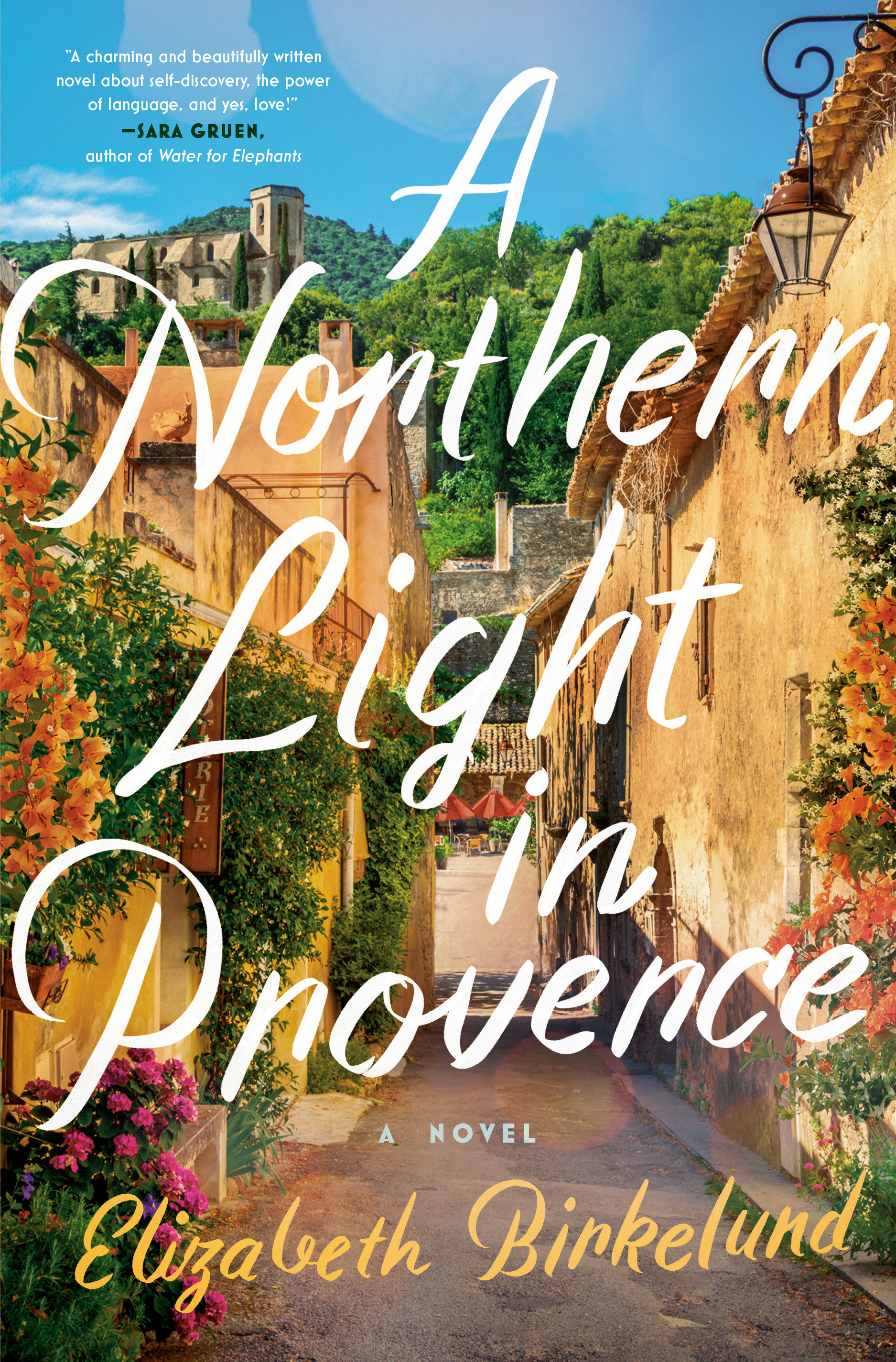 Imagen de portada para A Northern Light in Provence [electronic resource] : A Novel