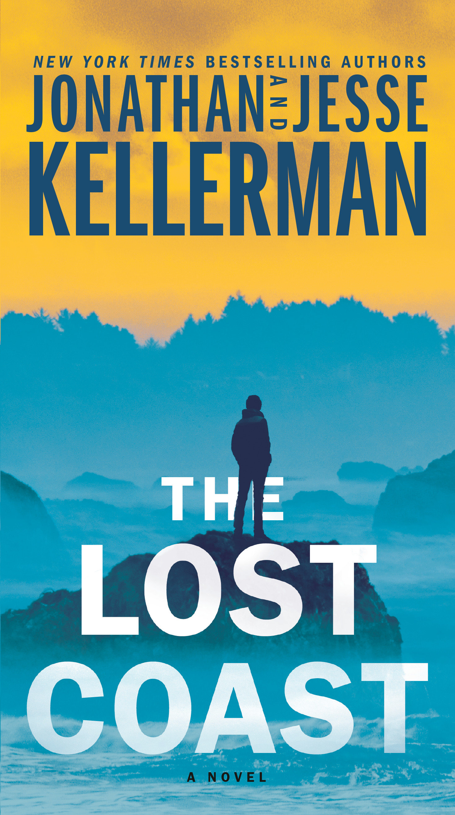 Image de couverture de The Lost Coast [electronic resource] : A Novel