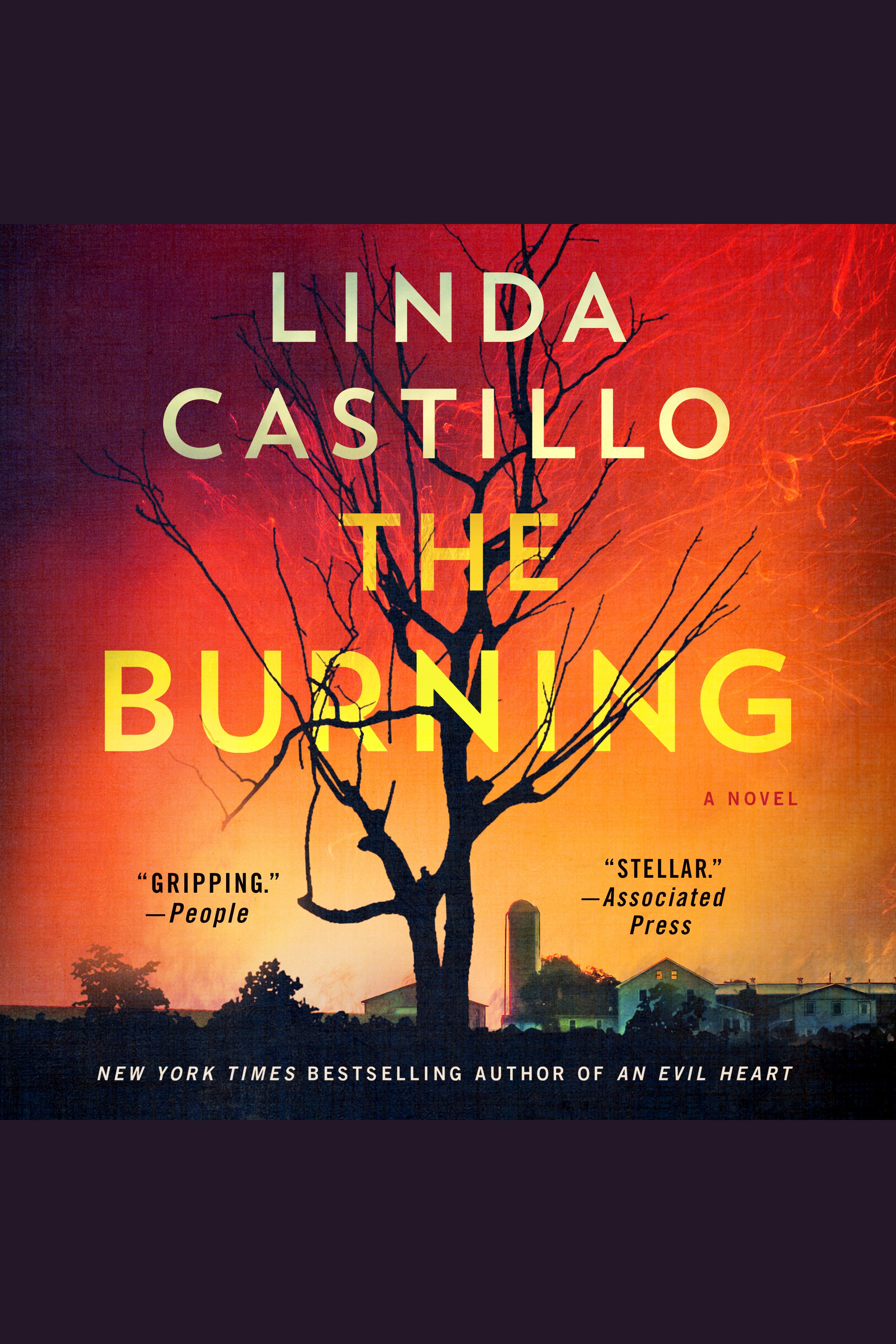 Image de couverture de The Burning [electronic resource] : A Novel
