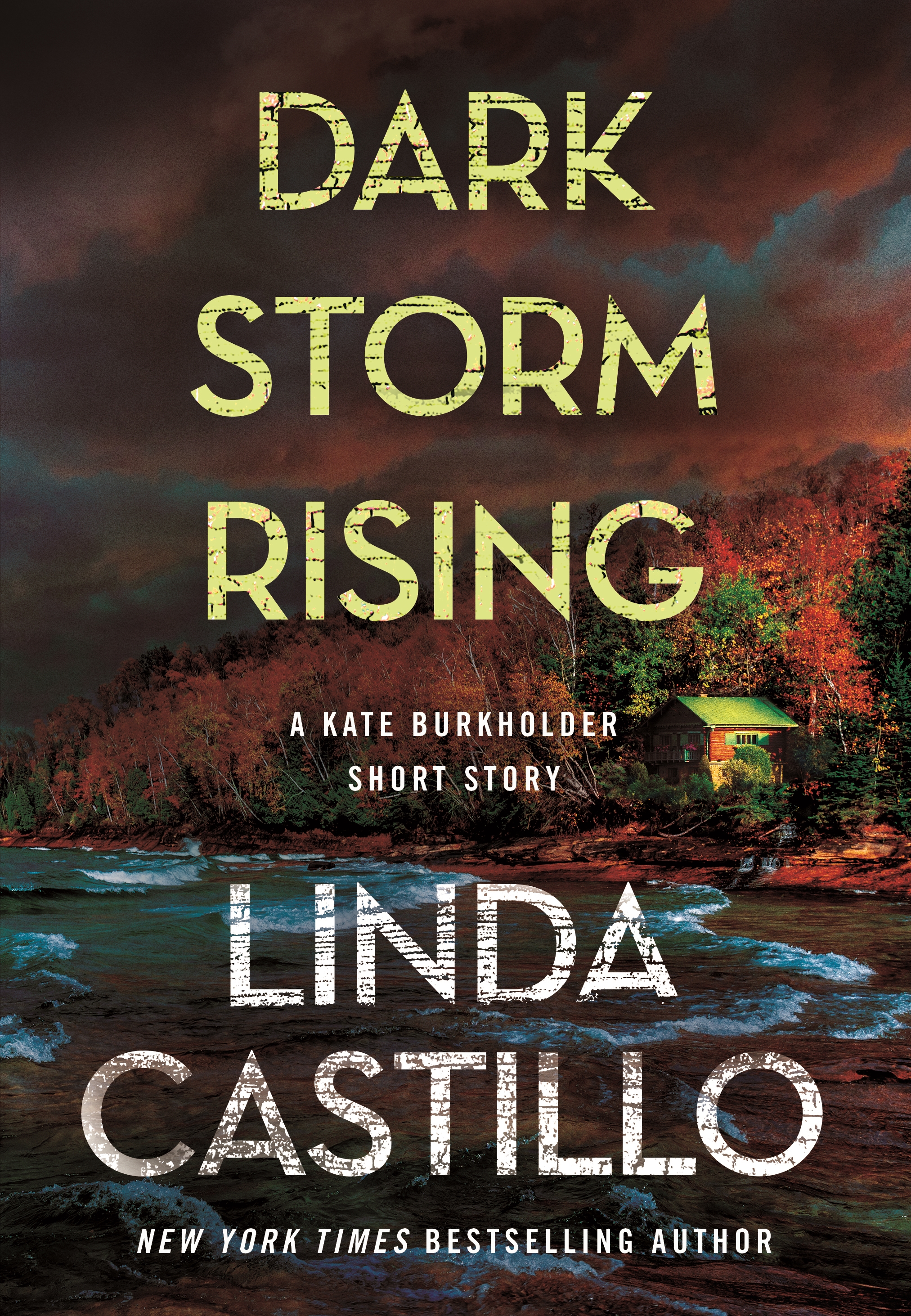 Umschlagbild für Dark Storm Rising [electronic resource] :