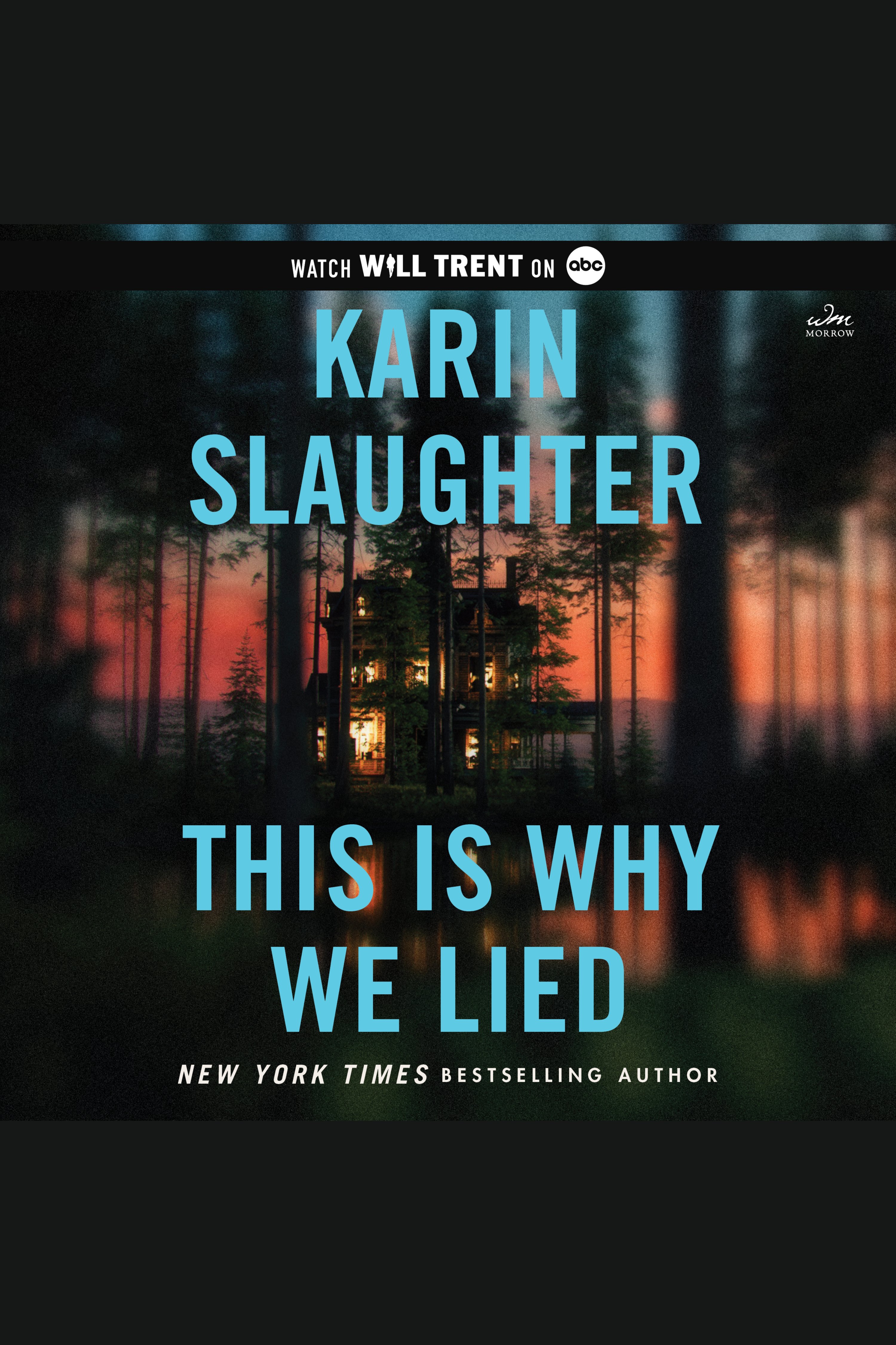 Image de couverture de This Is Why We Lied [electronic resource] : A Will Trent Thriller