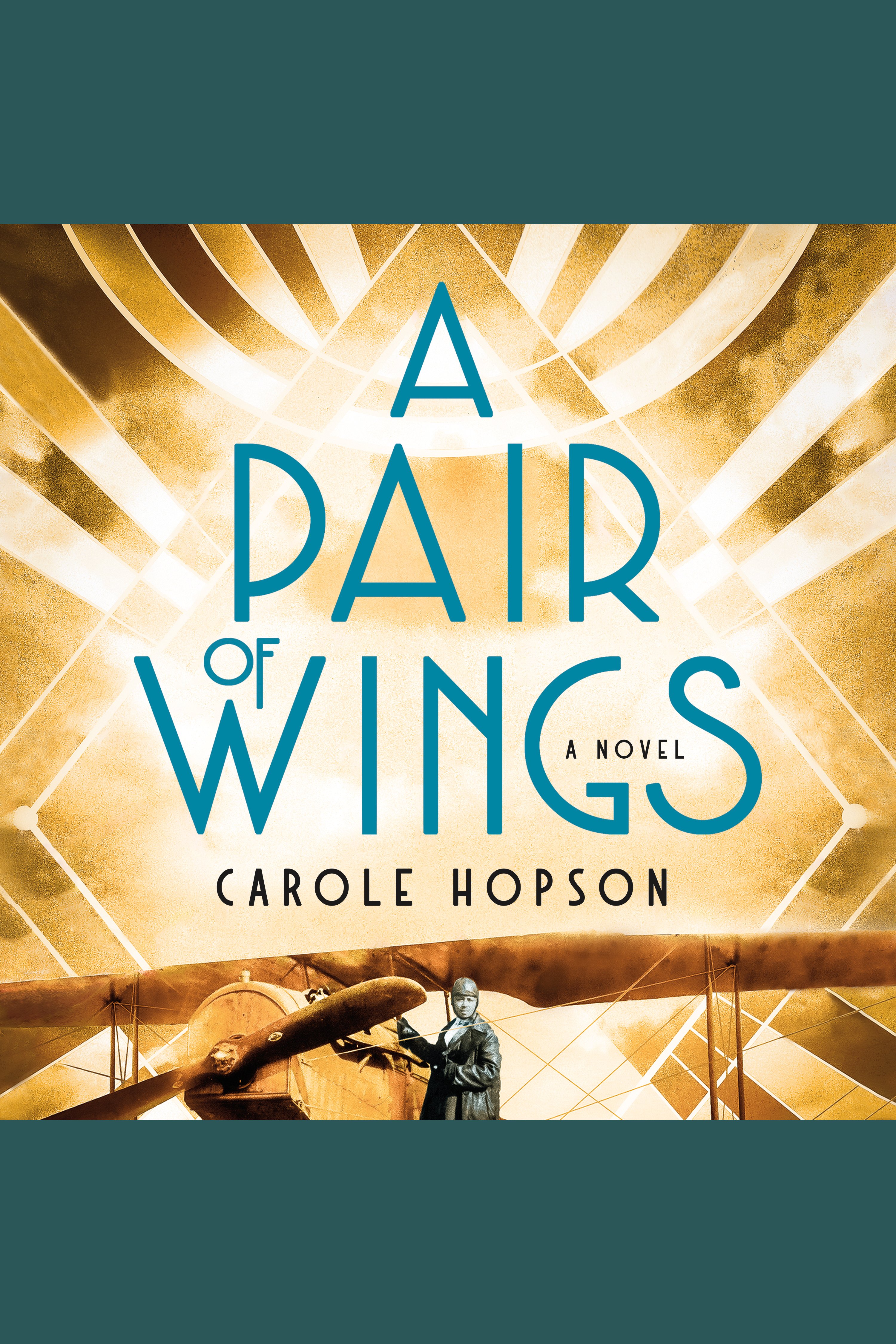 Image de couverture de A Pair of Wings [electronic resource] : A Novel