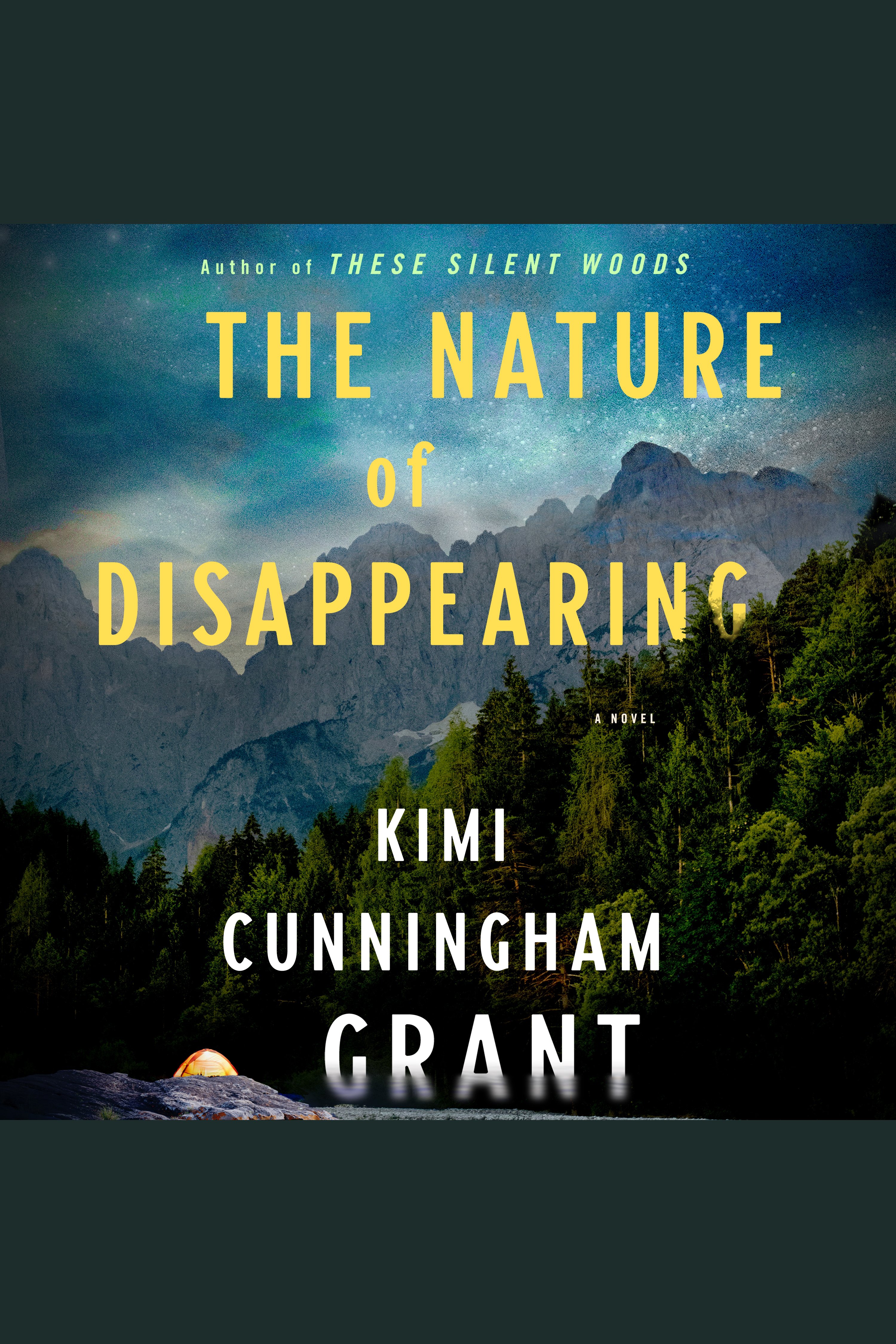 Image de couverture de The Nature of Disappearing [electronic resource] : A Novel