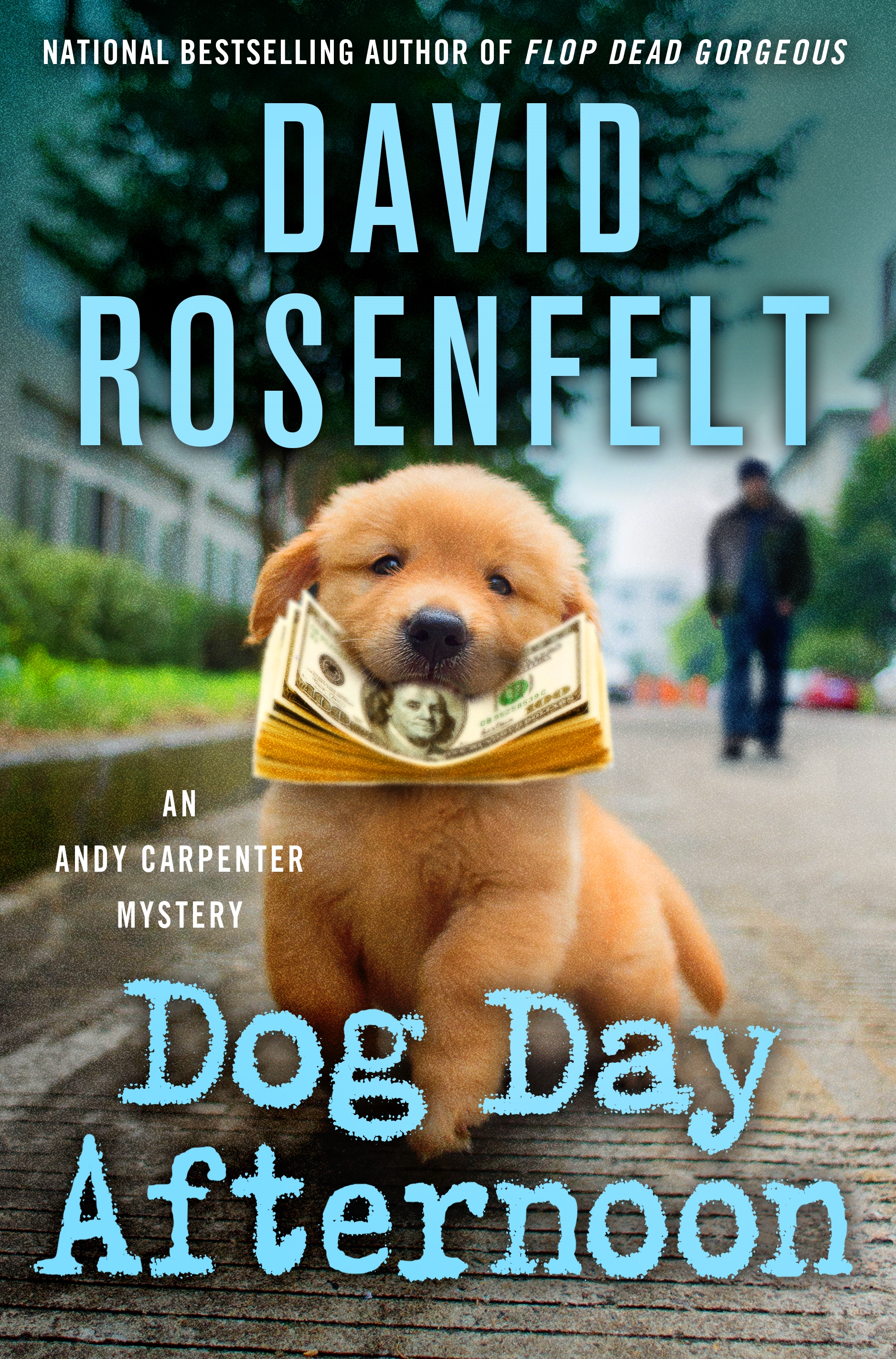 Image de couverture de Dog Day Afternoon [electronic resource] : An Andy Carpenter Mystery