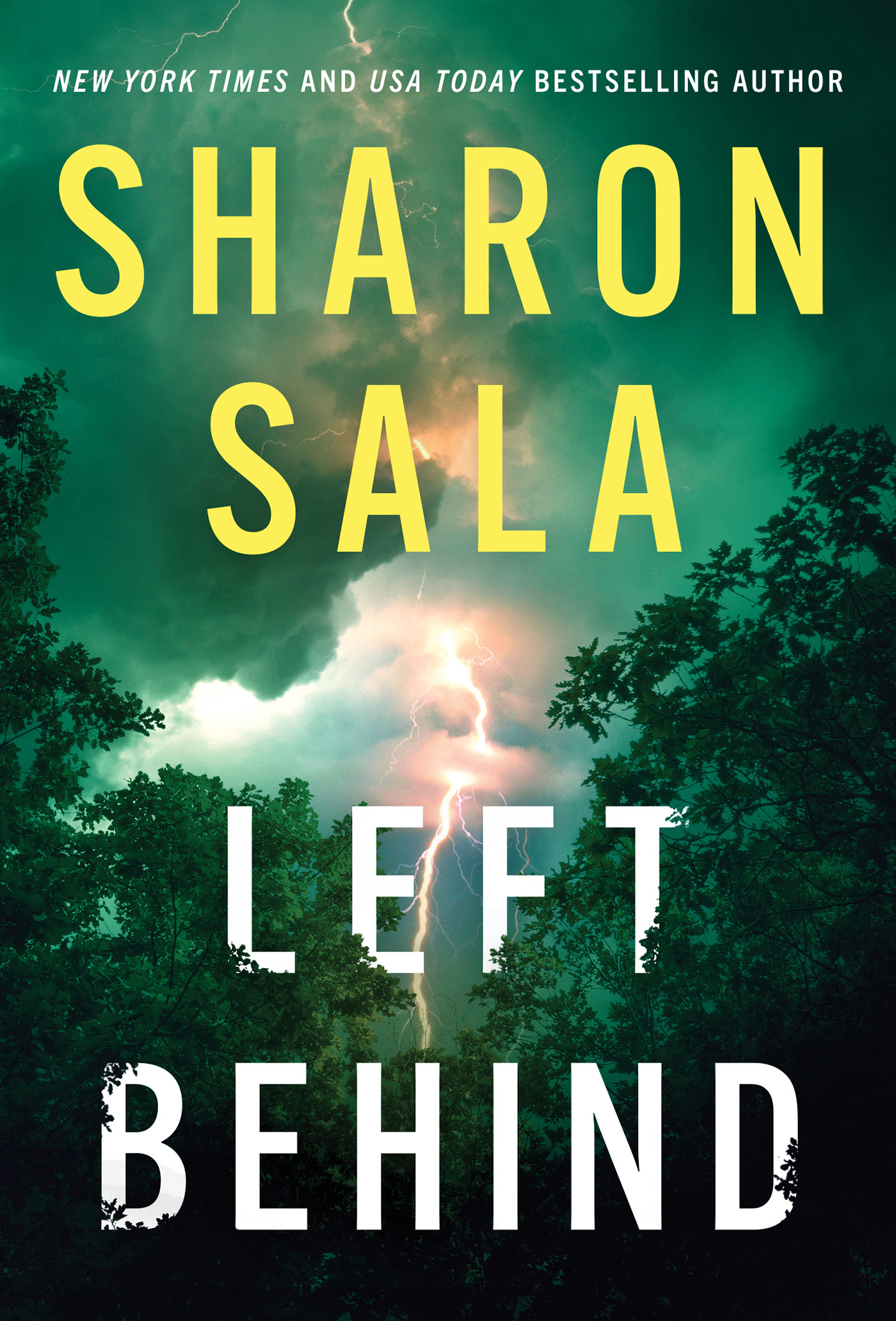 Image de couverture de Left Behind [electronic resource] :