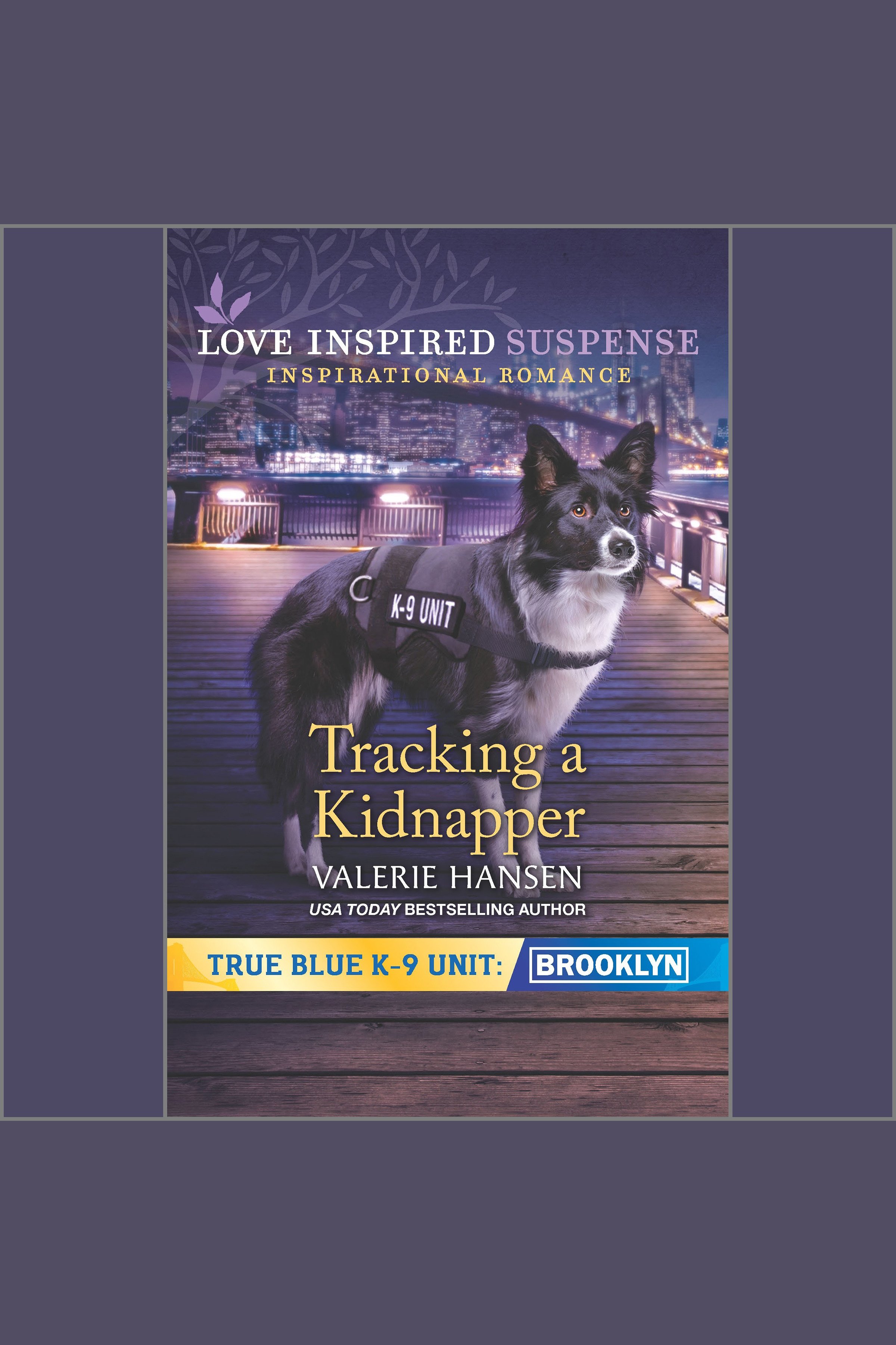 Umschlagbild für Tracking a Kidnapper [electronic resource] :