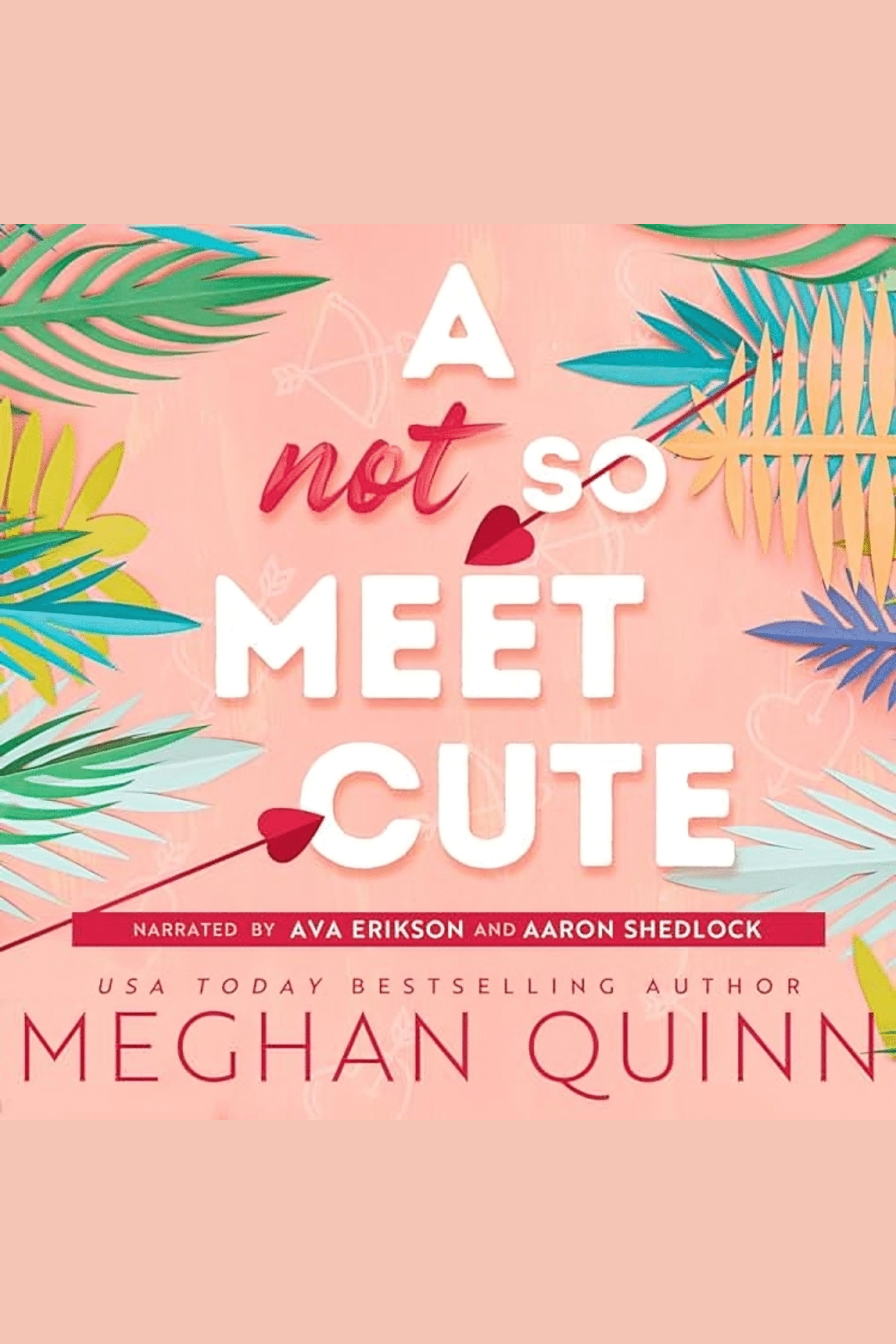 A Not So Meet Cute cover image