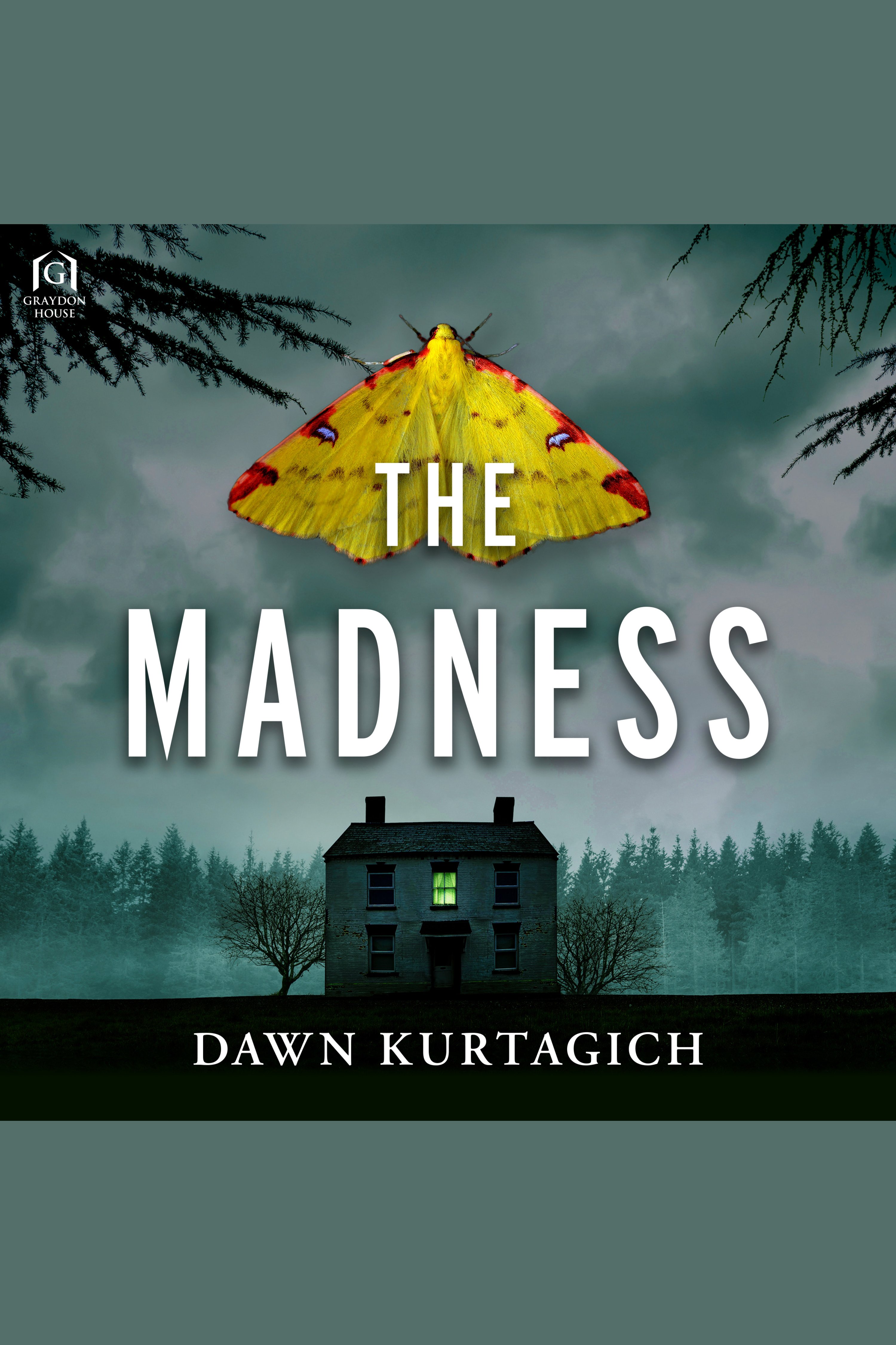 The Madness cover image