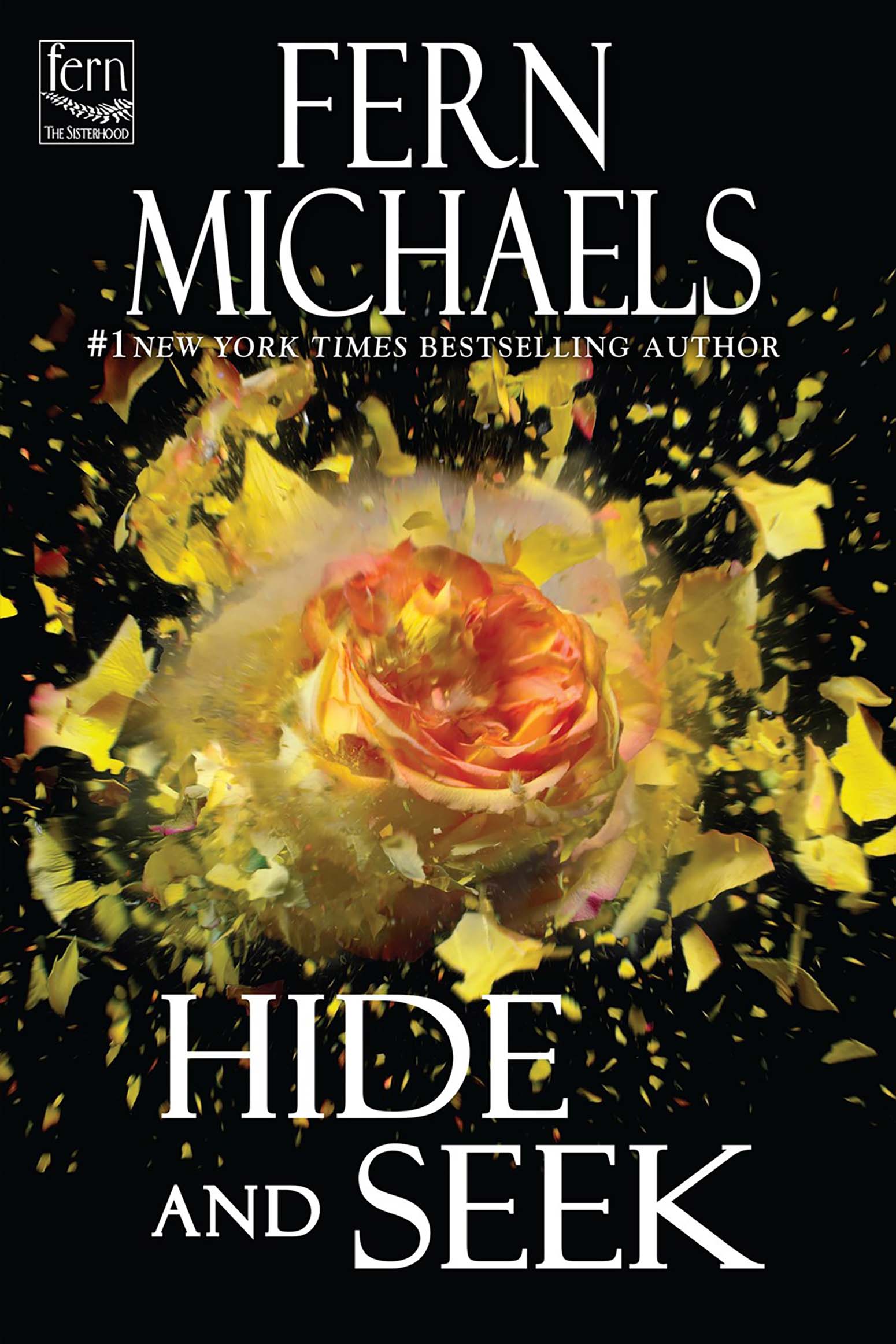Image de couverture de Hide And Seek [electronic resource] :