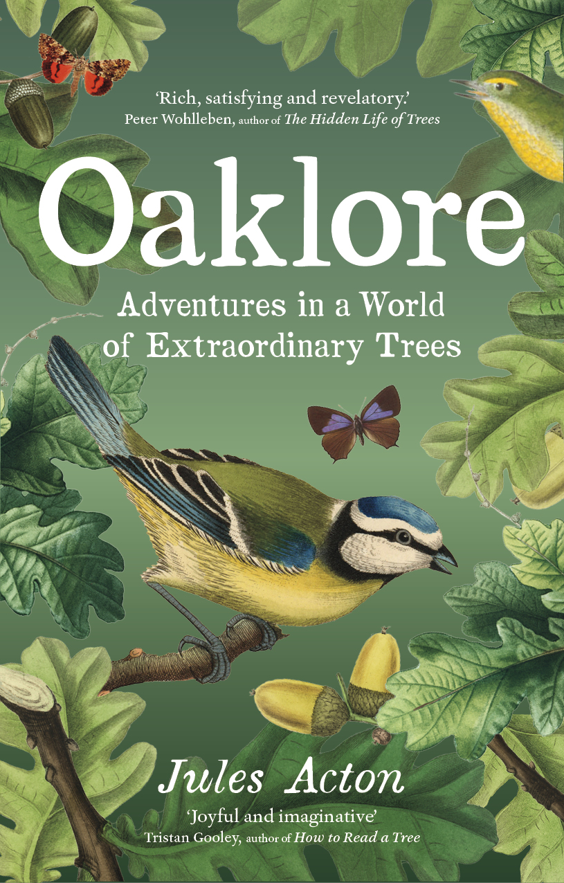 Oaklore Adventures in a World of Extraordinary Trees