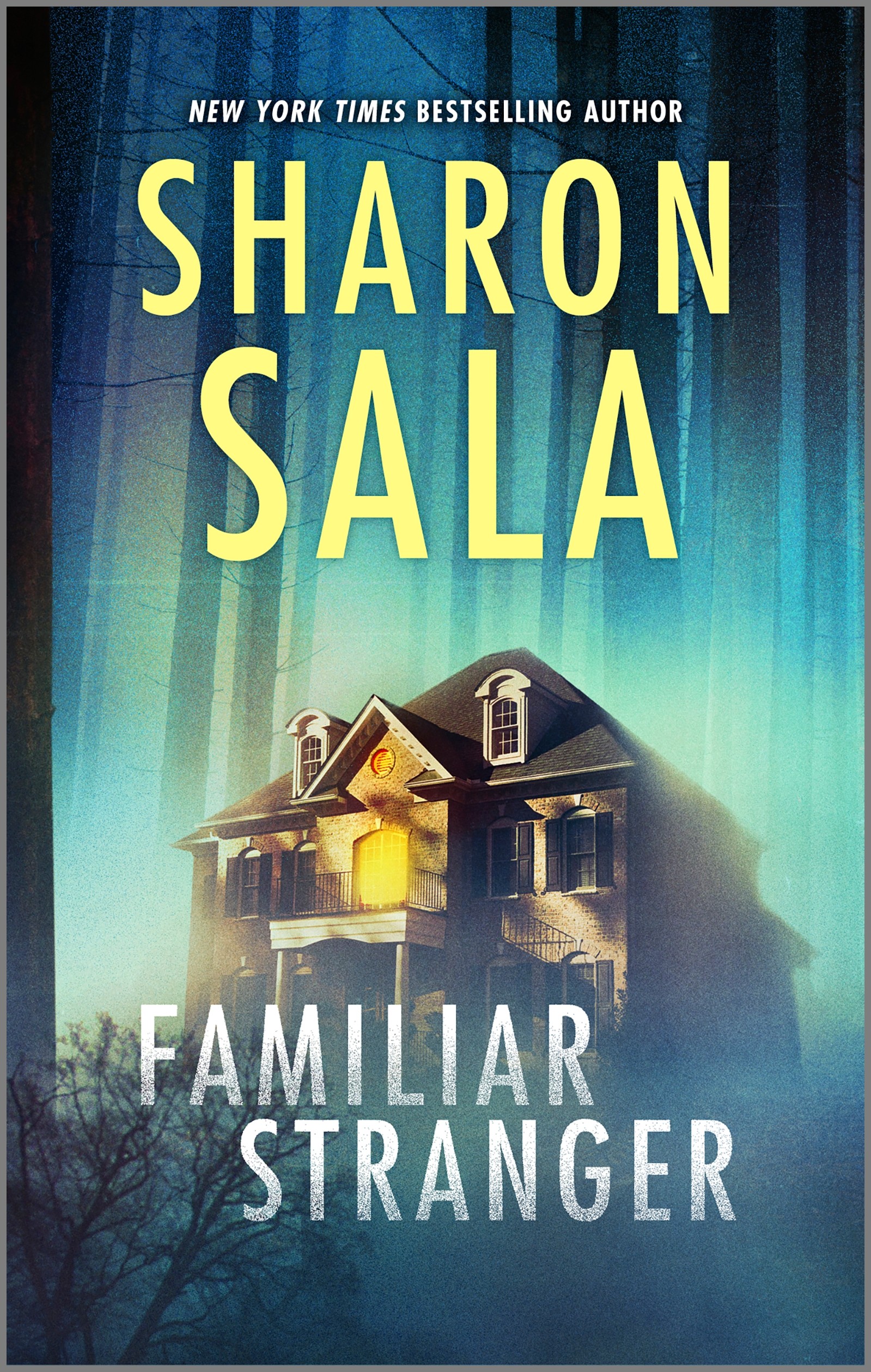 Image de couverture de Familiar Stranger [electronic resource] : A Thrilling Military Romance