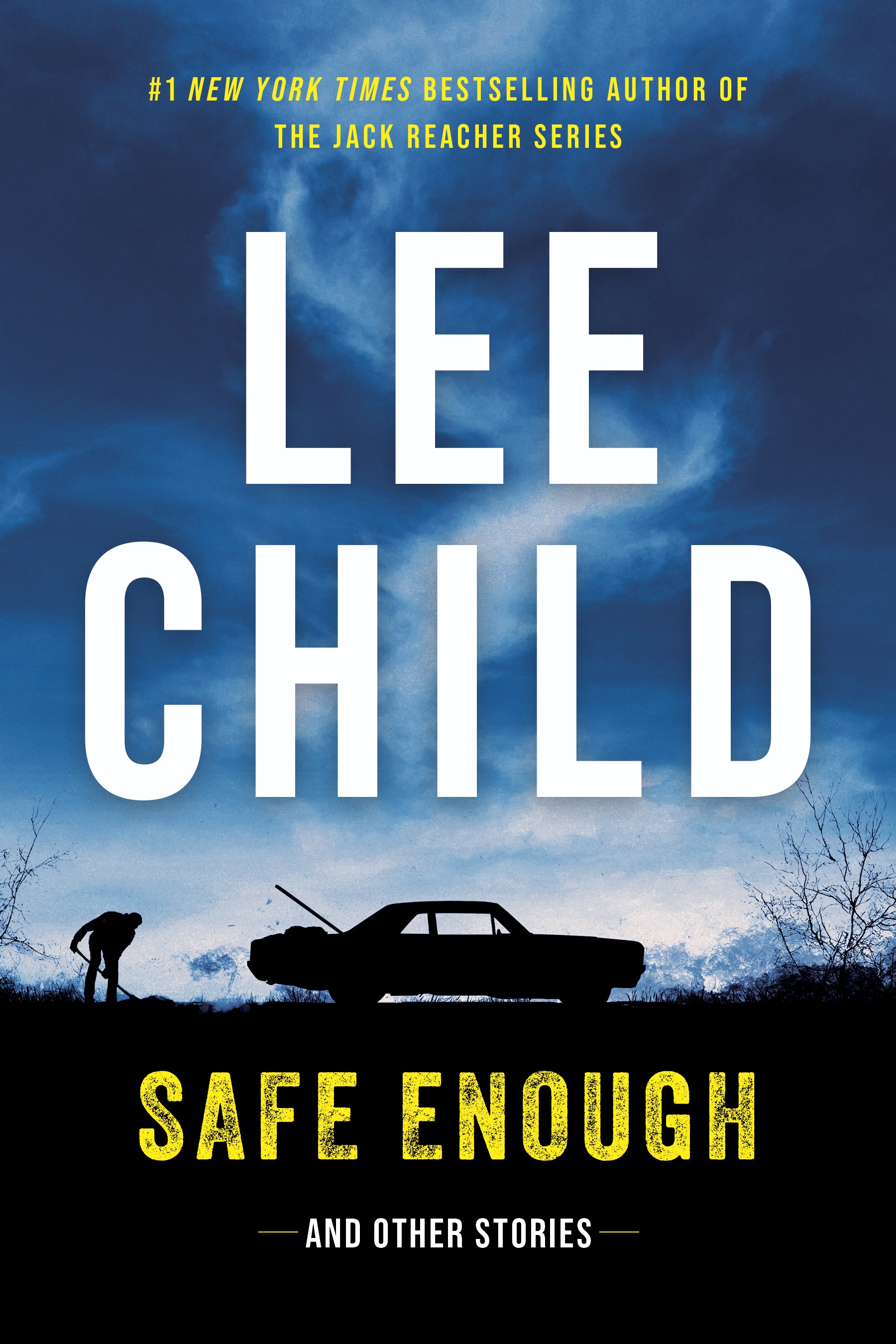 Umschlagbild für Safe Enough: Crime Stories by the Author of Jack Reacher [electronic resource] :
