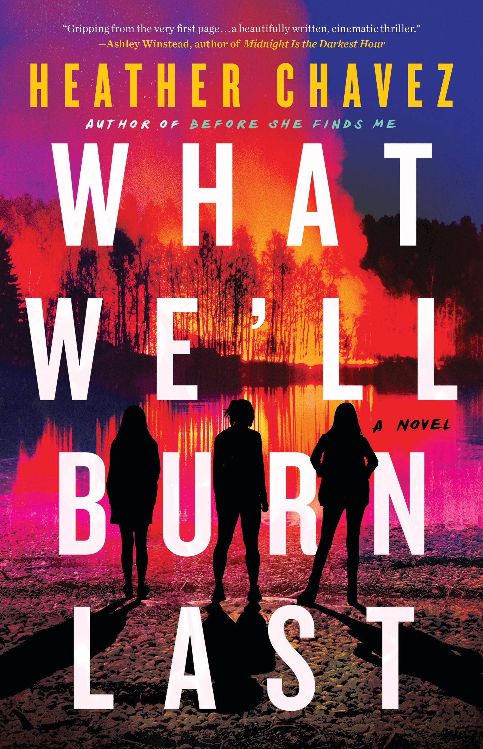 Cover image for What We'll Burn Last [electronic resource] :
