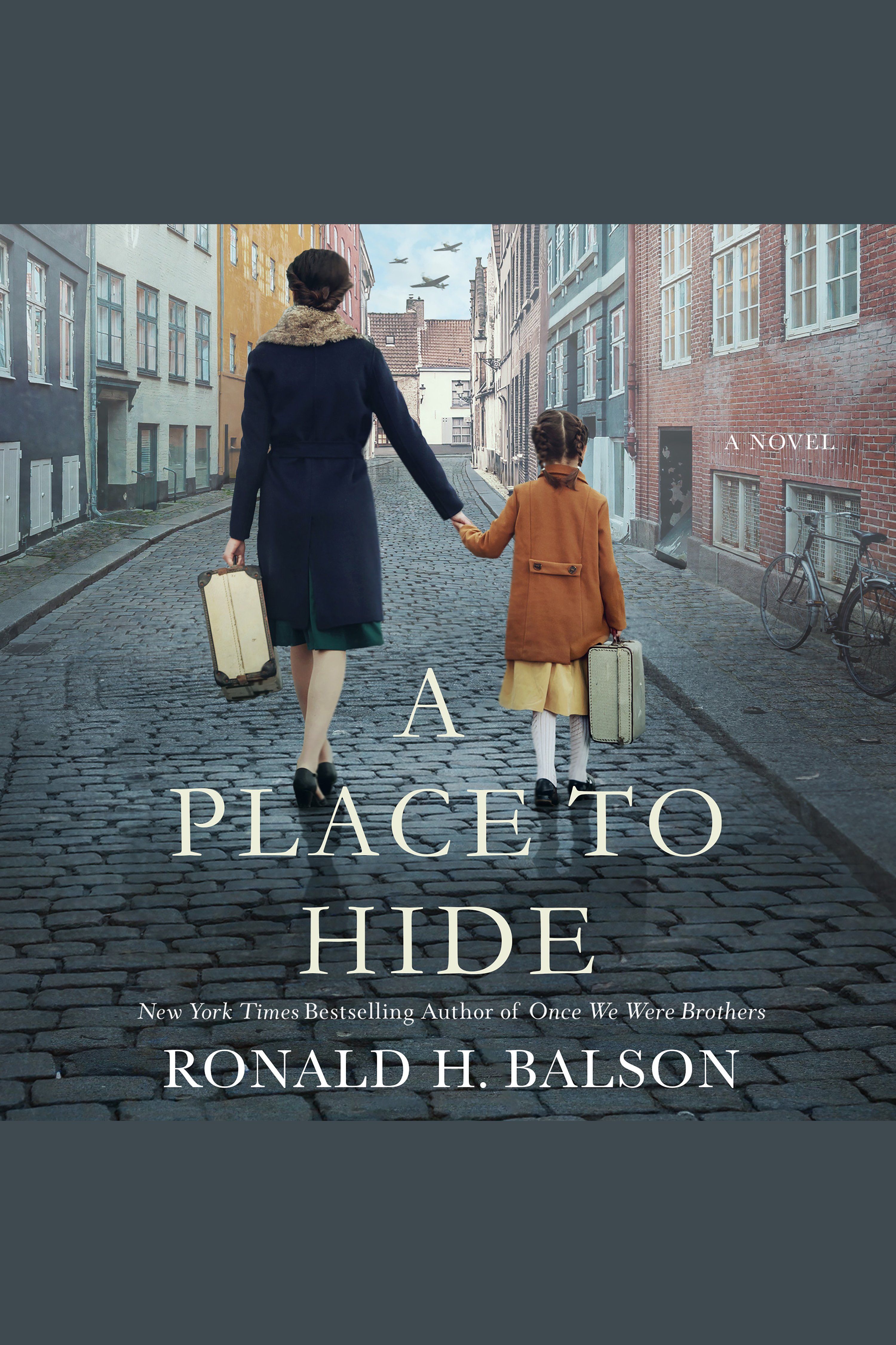 Imagen de portada para Place to Hide, A [electronic resource] : A Novel