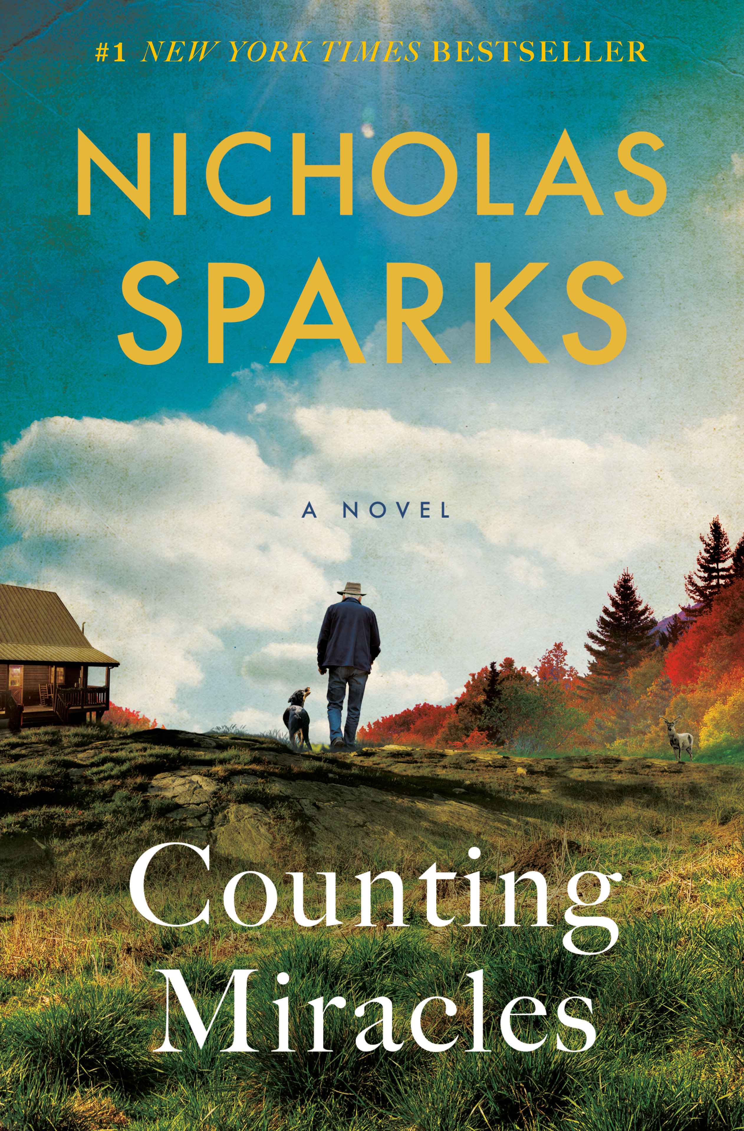 Imagen de portada para Counting Miracles [electronic resource] : A Novel