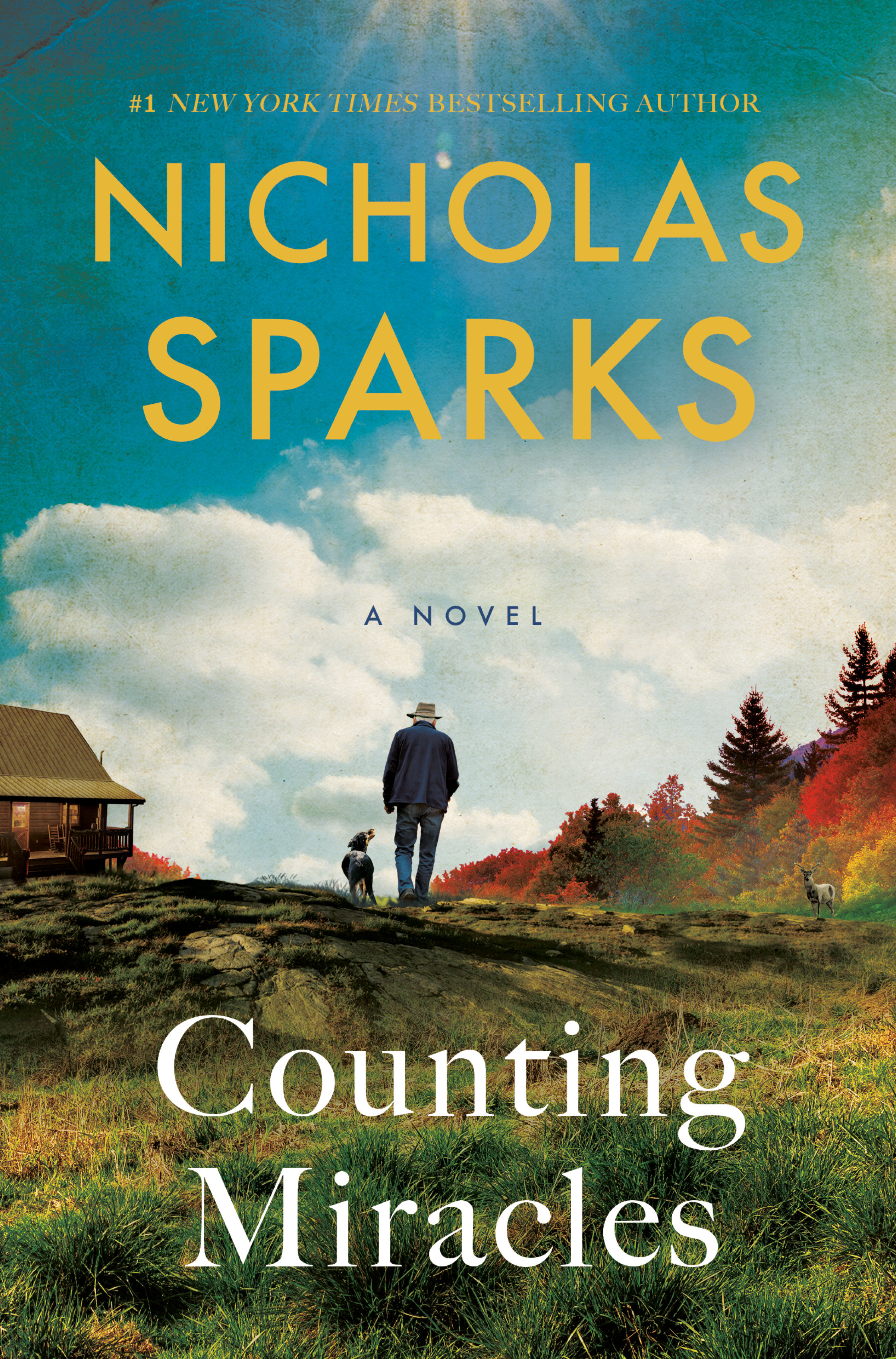 Counting Miracles cover image