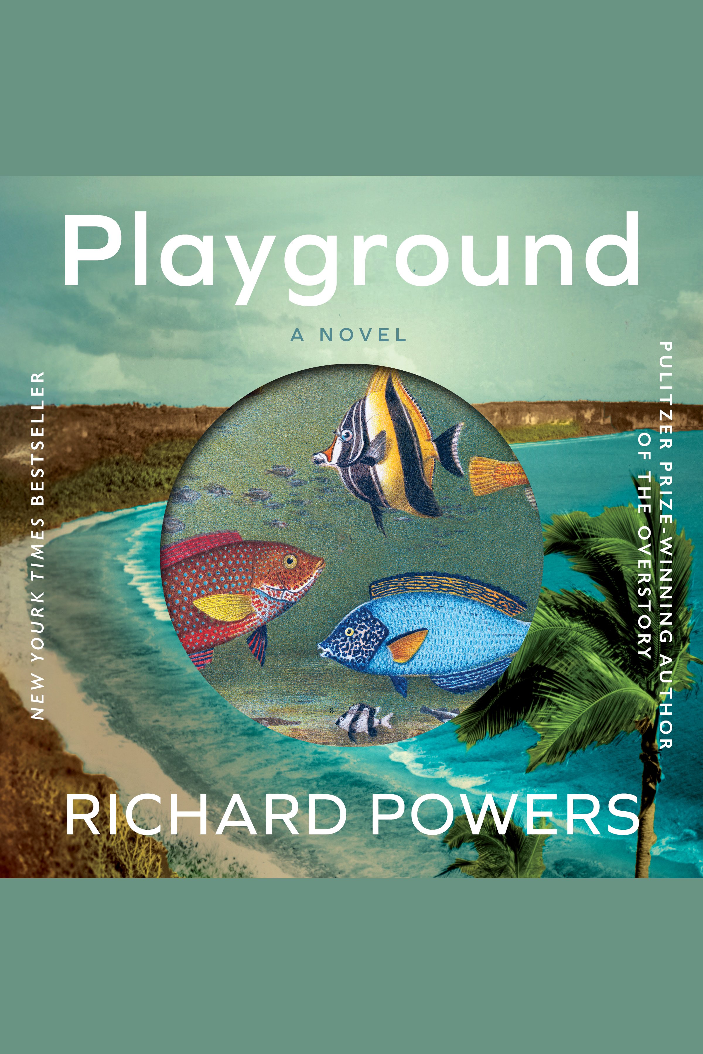 Playground cover image