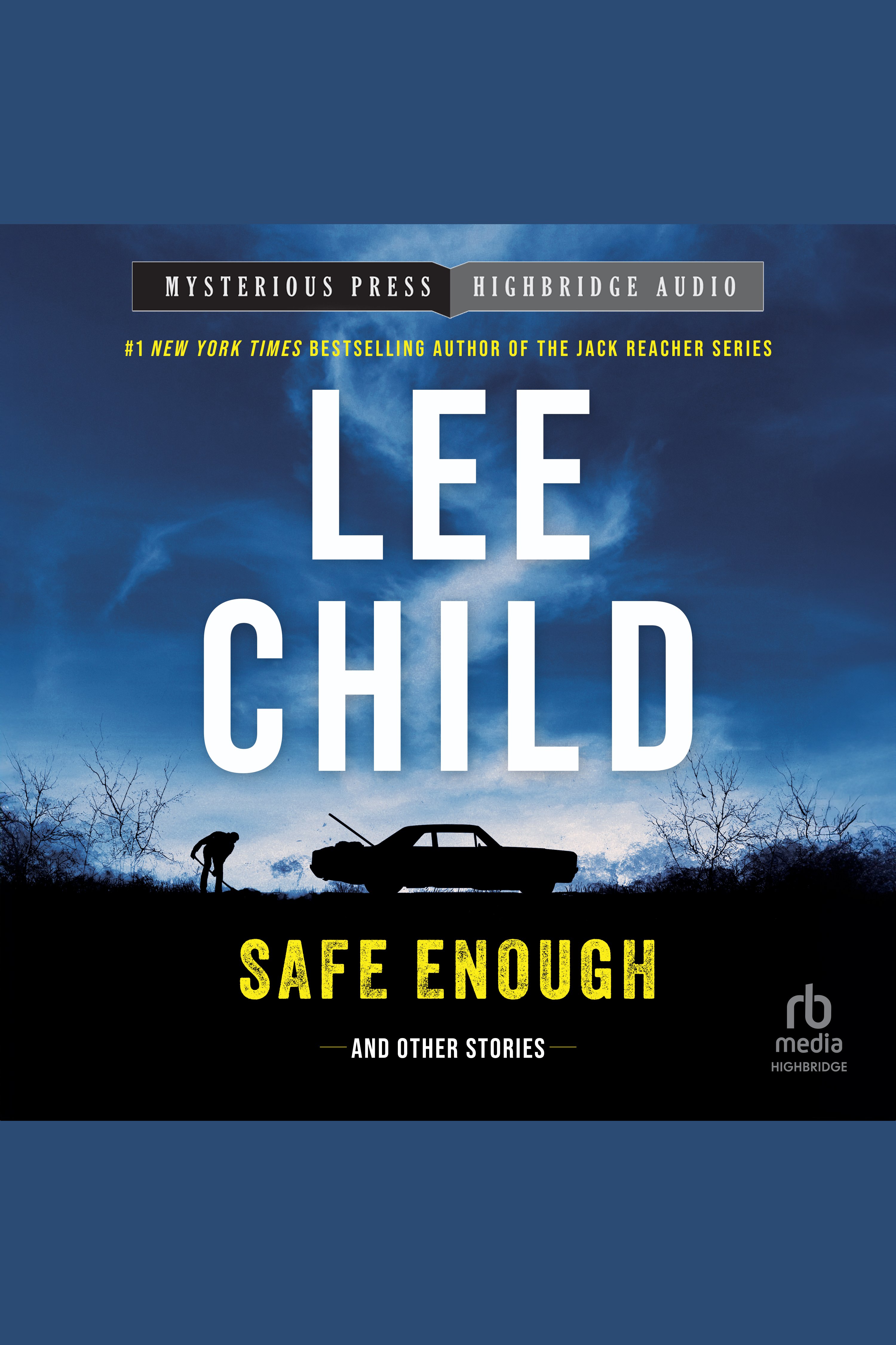 Umschlagbild für Safe Enough: Crime Stories by the Author of Jack Reacher [electronic resource] :