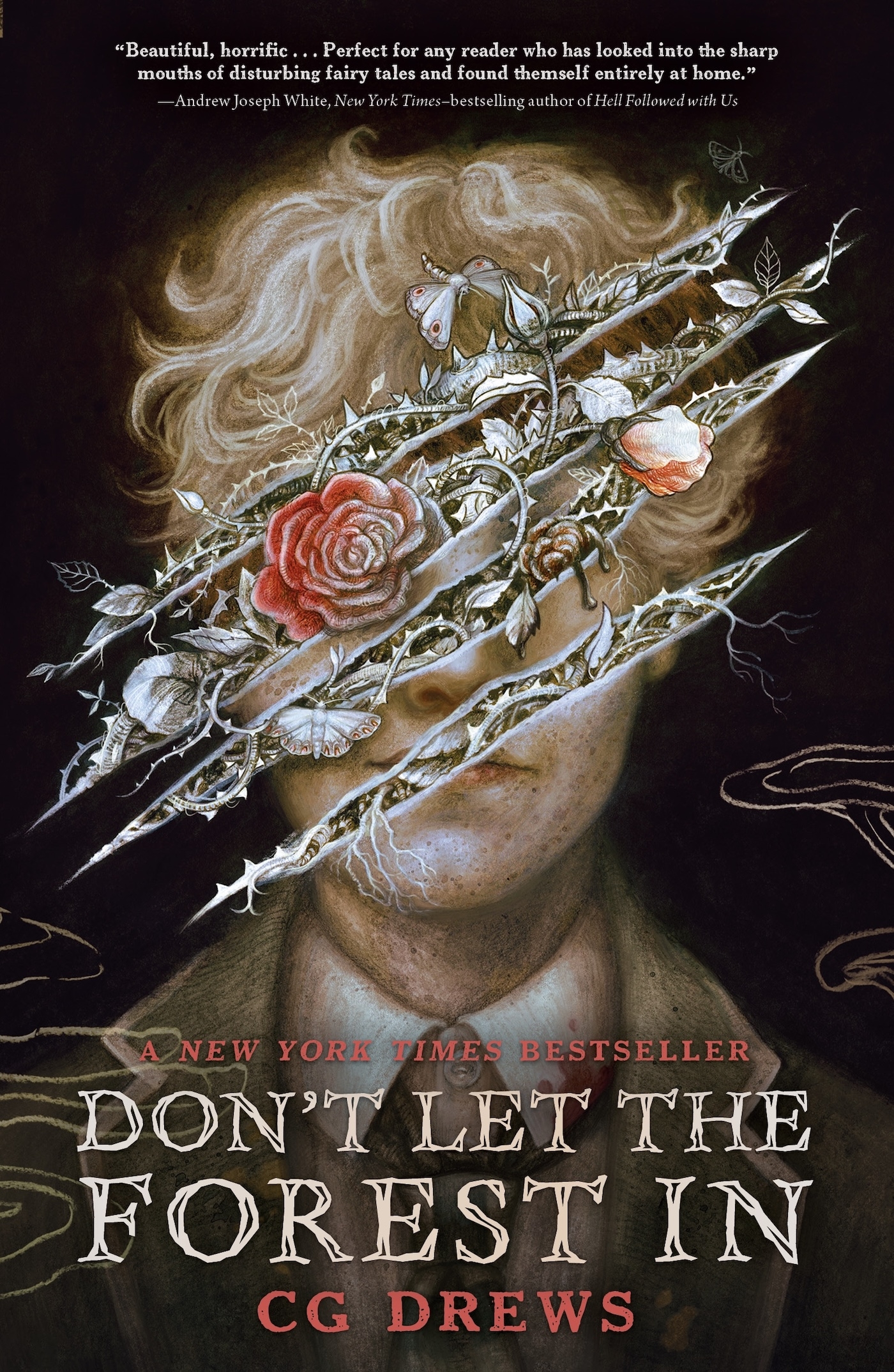 Don't Let the Forest In cover image