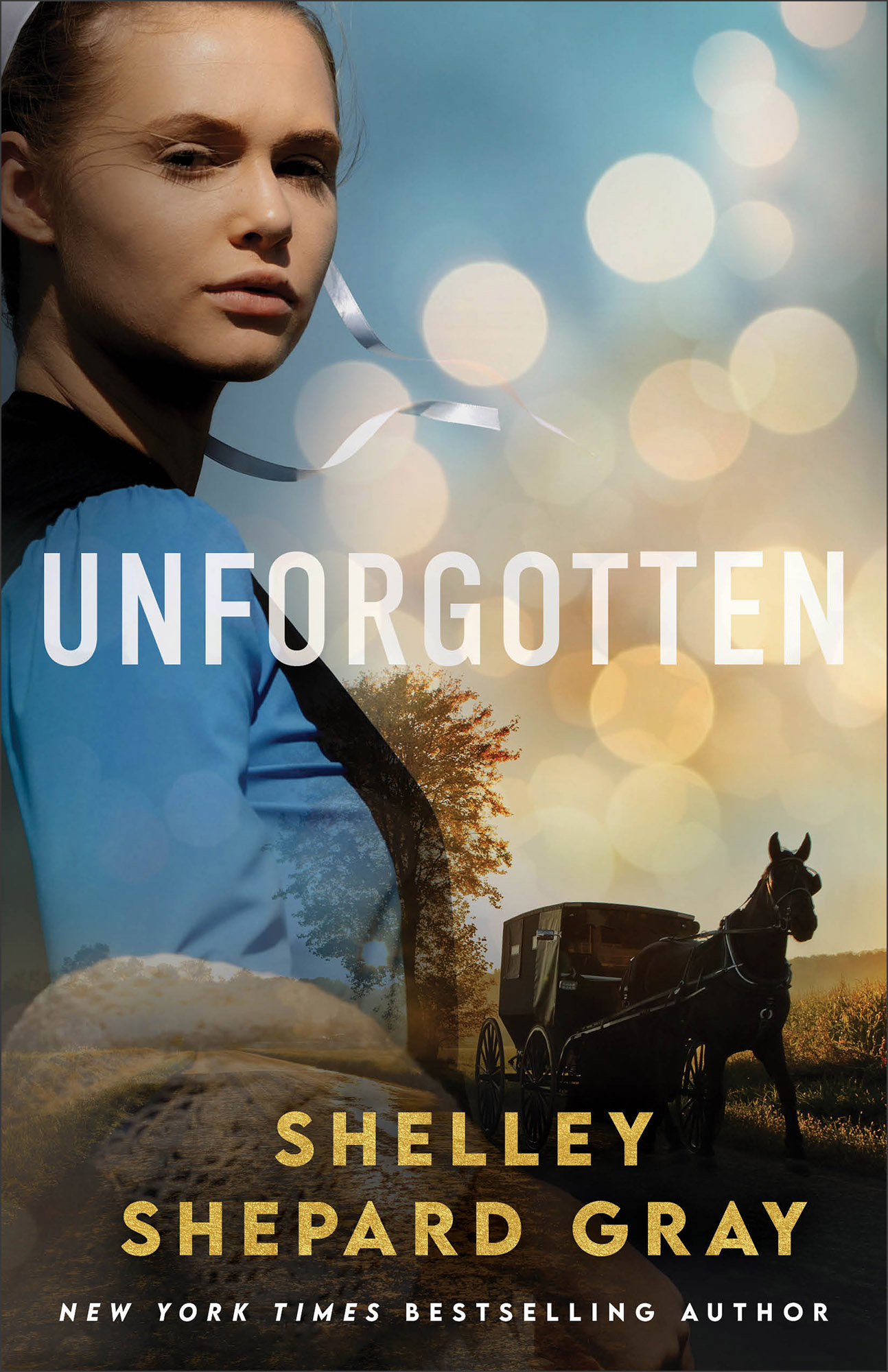 Umschlagbild für Unforgotten [electronic resource] :