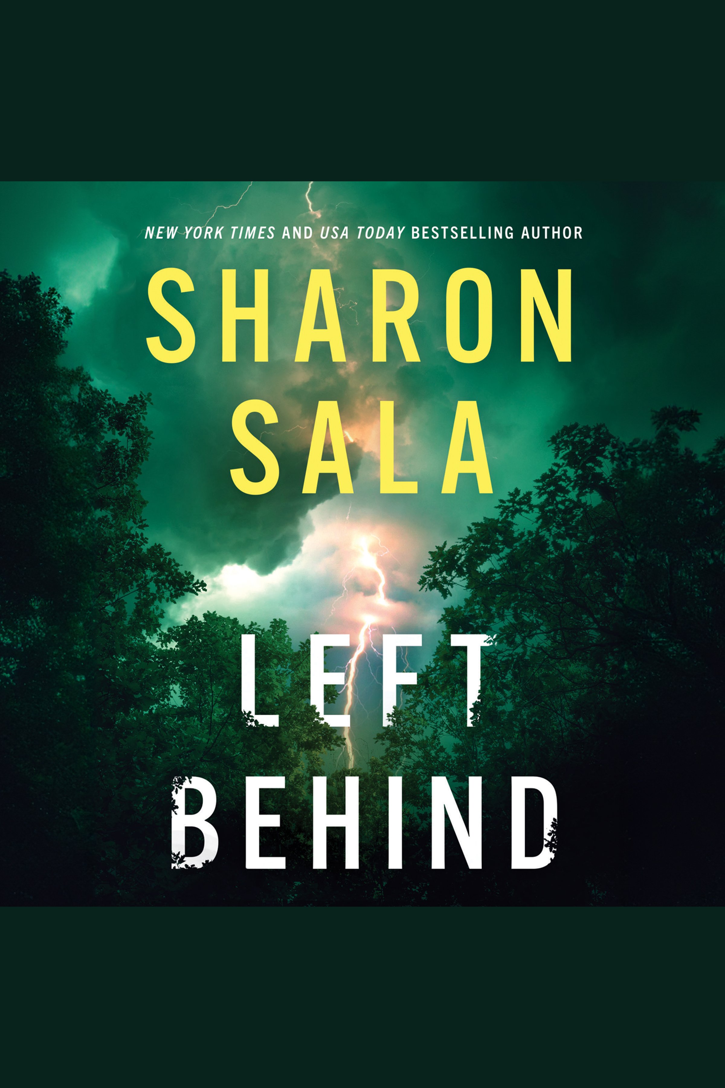 Umschlagbild für Left Behind [electronic resource] :
