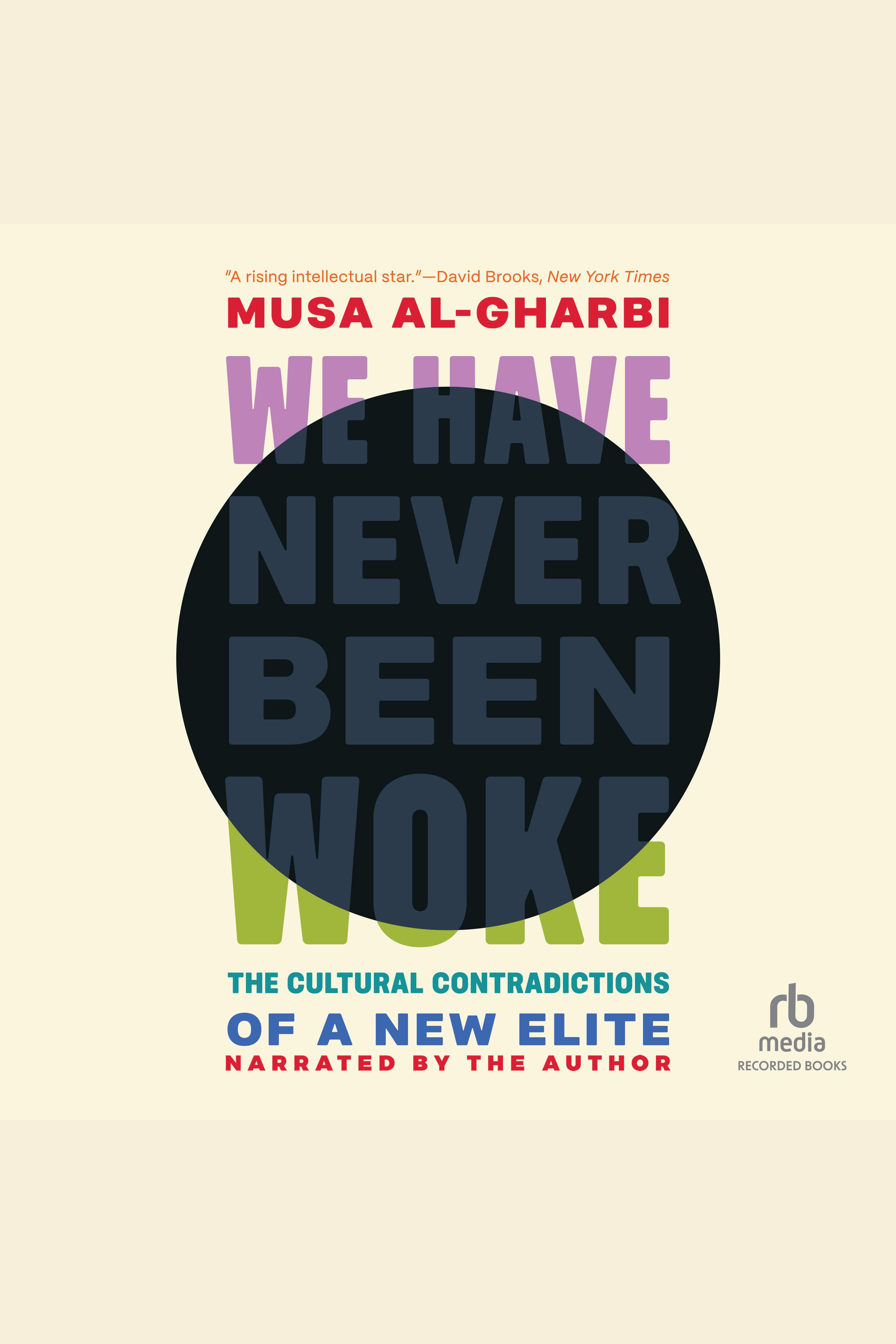 We Have Never Been Woke The Cultural Contradictions of a New Elite cover image